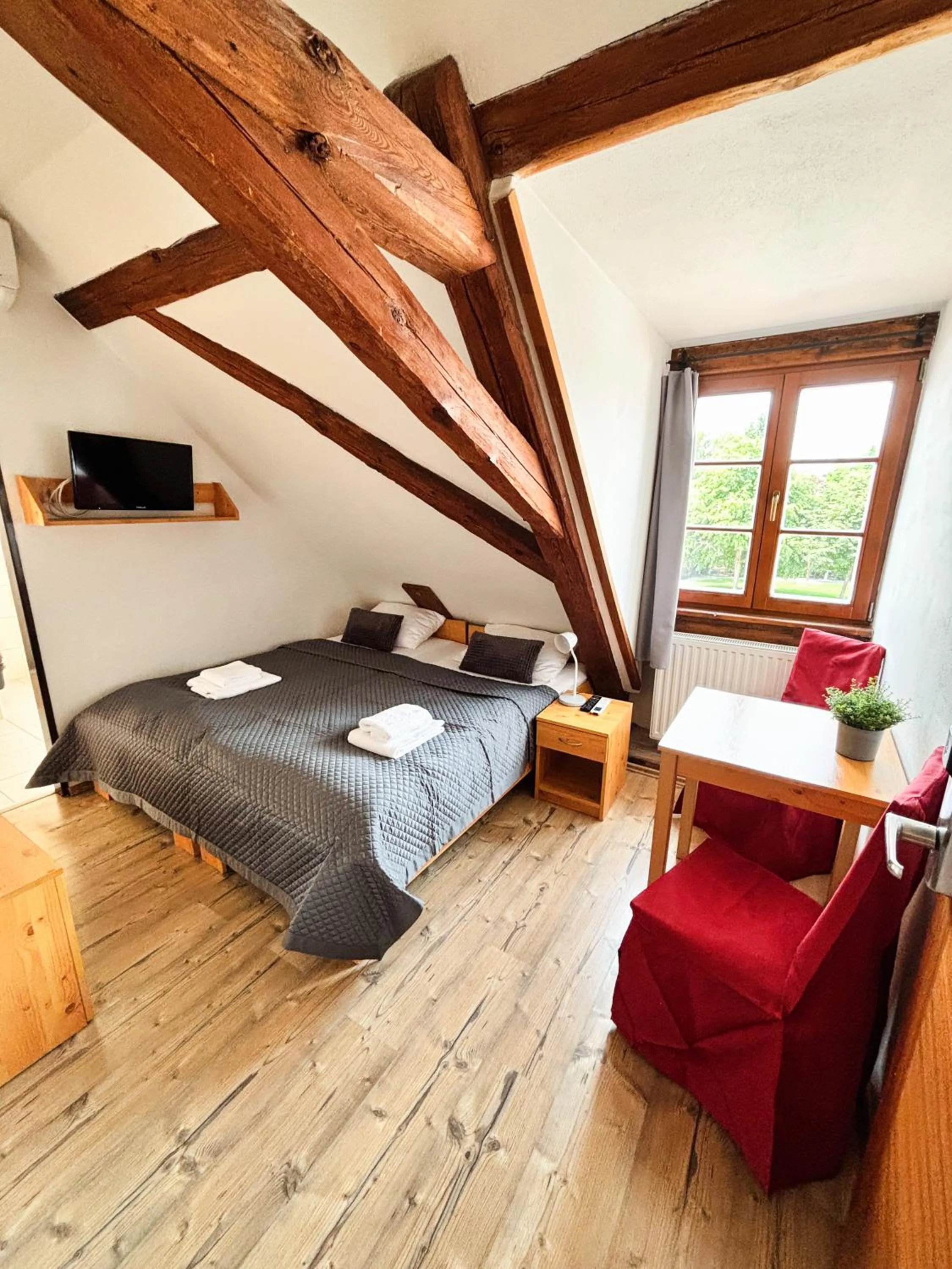 Bed in Wellness hotel & minipivovar Kněžínek