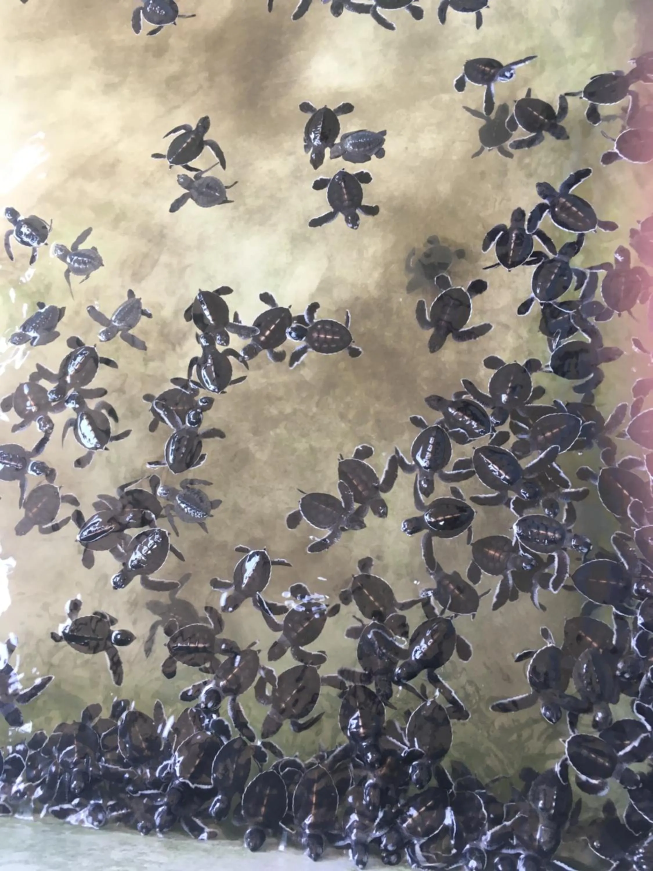 Nearby landmark in Raja Beach Hotel