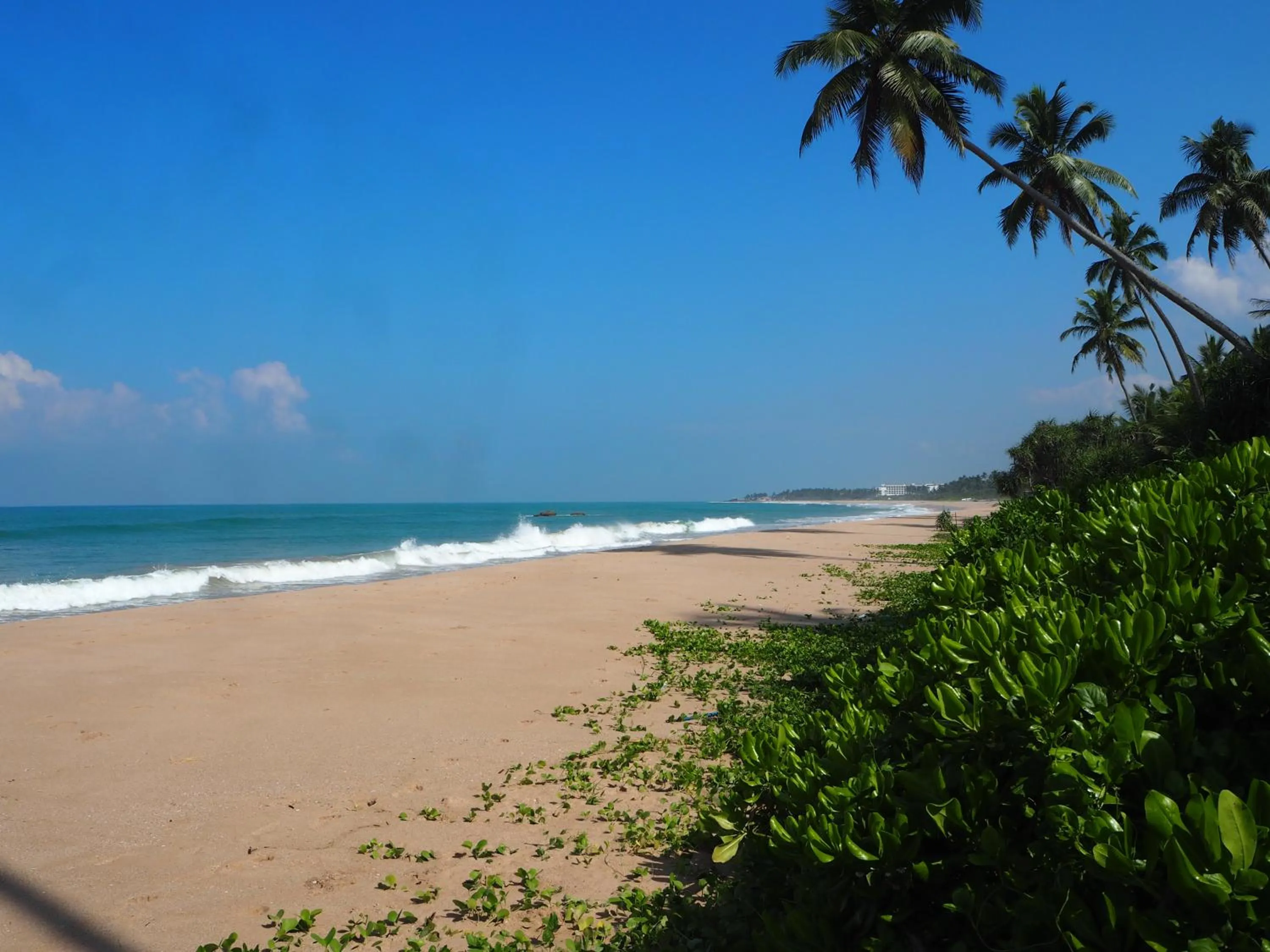 Beach in Raja Beach Hotel
