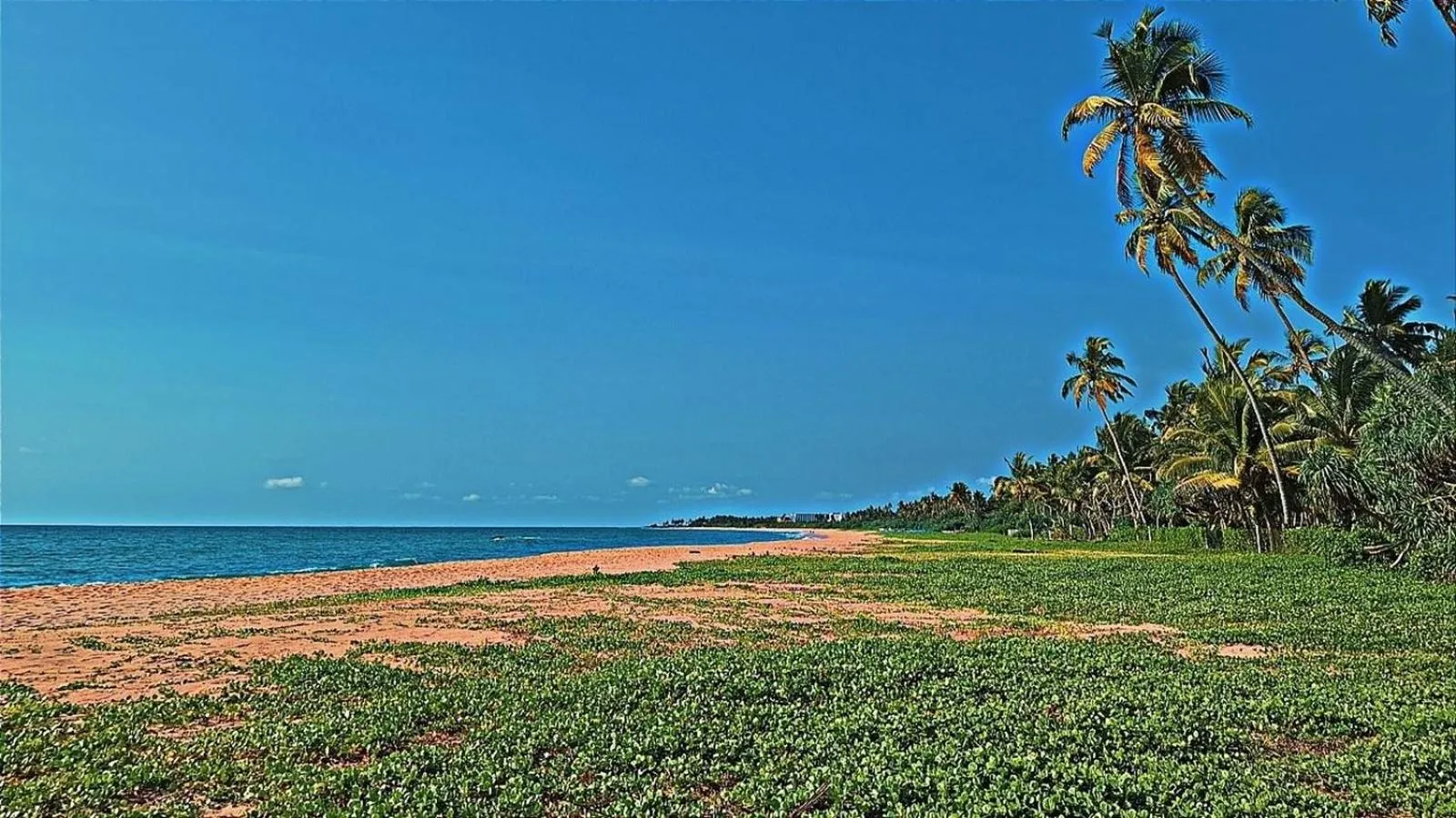 Beach in Raja Beach Hotel