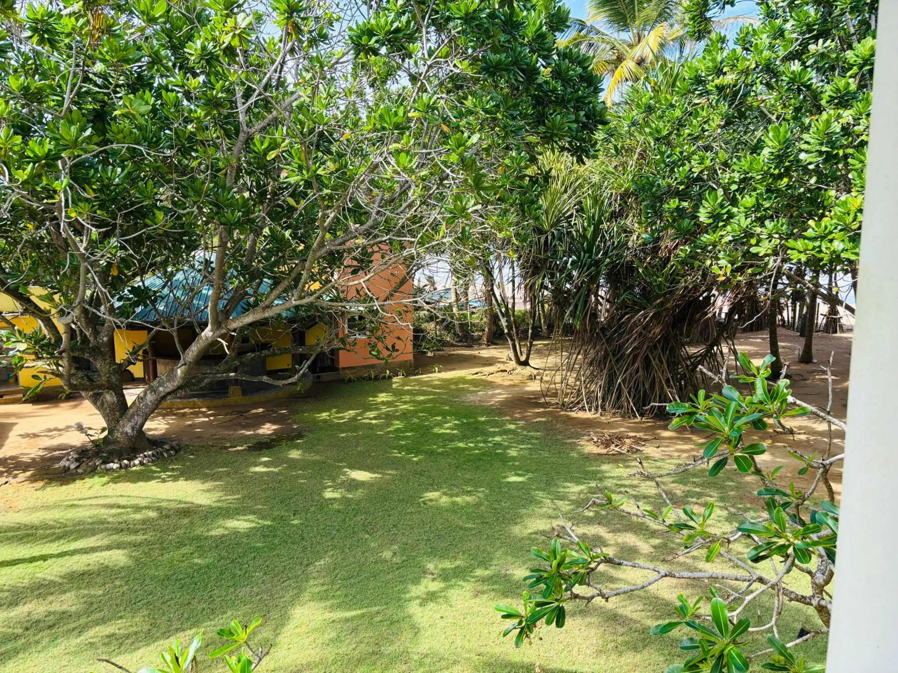 Garden view in Raja Beach Hotel