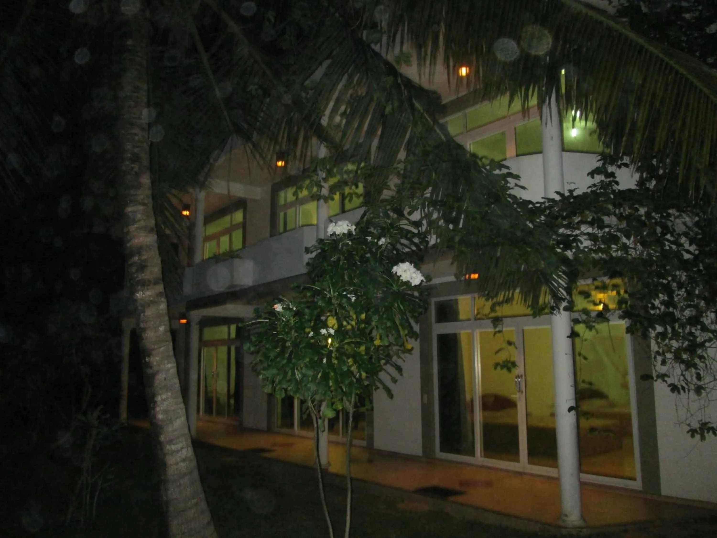 Night in Raja Beach Hotel