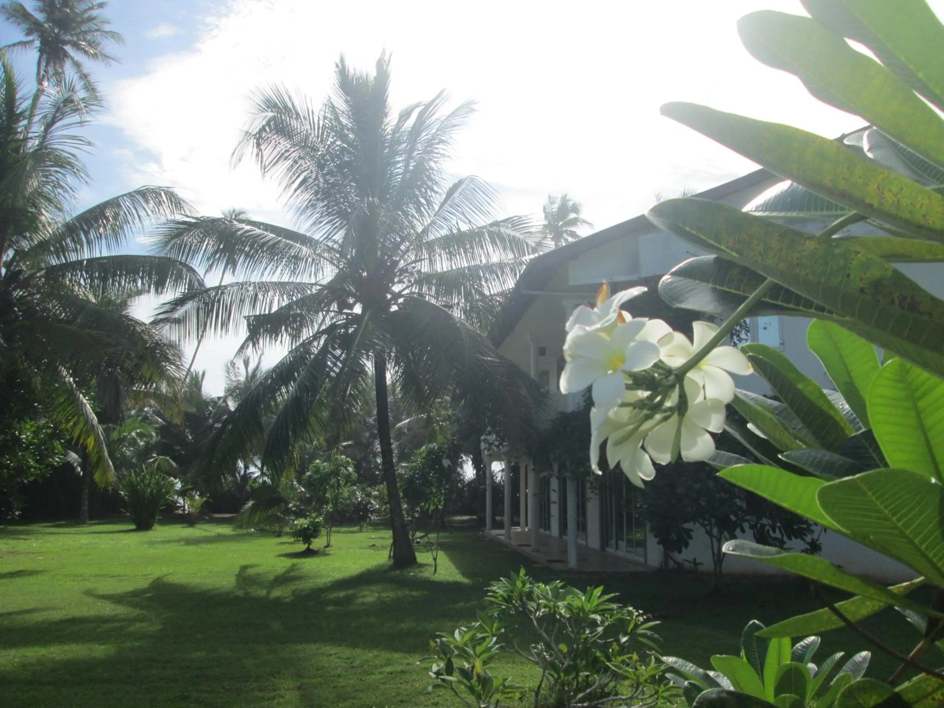 Garden in Raja Beach Hotel