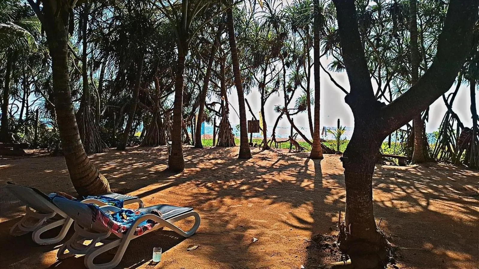 Garden in Raja Beach Hotel