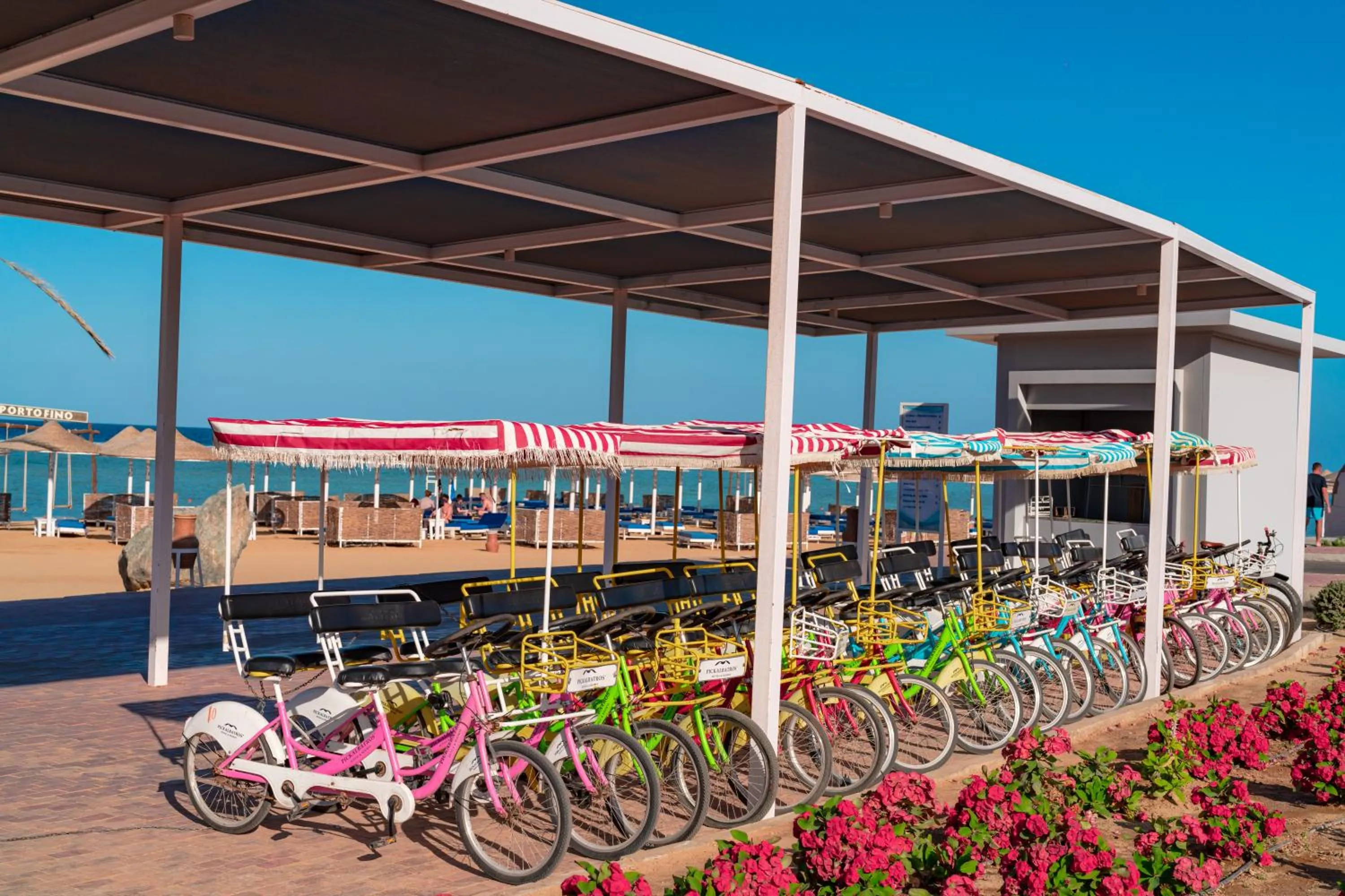 Cycling in Pickalbatros Vita Resort - Portofino Marsa Alam