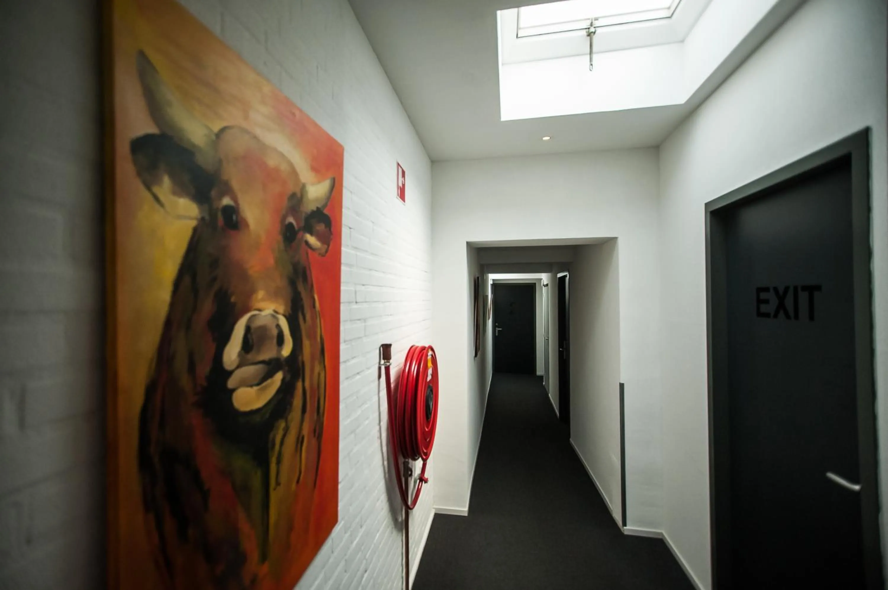 Area and facilities in Hotel Taurus