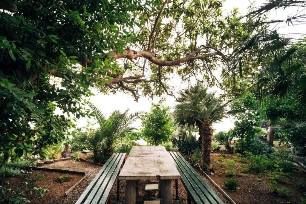 Garden in Villa Šoti