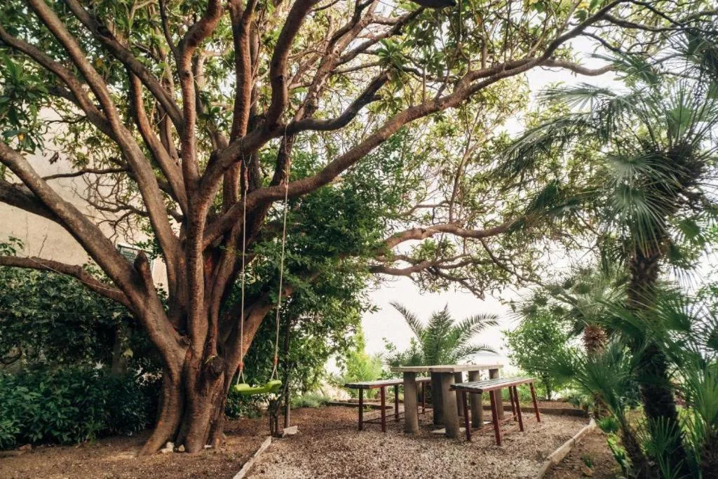 Garden in Villa Šoti