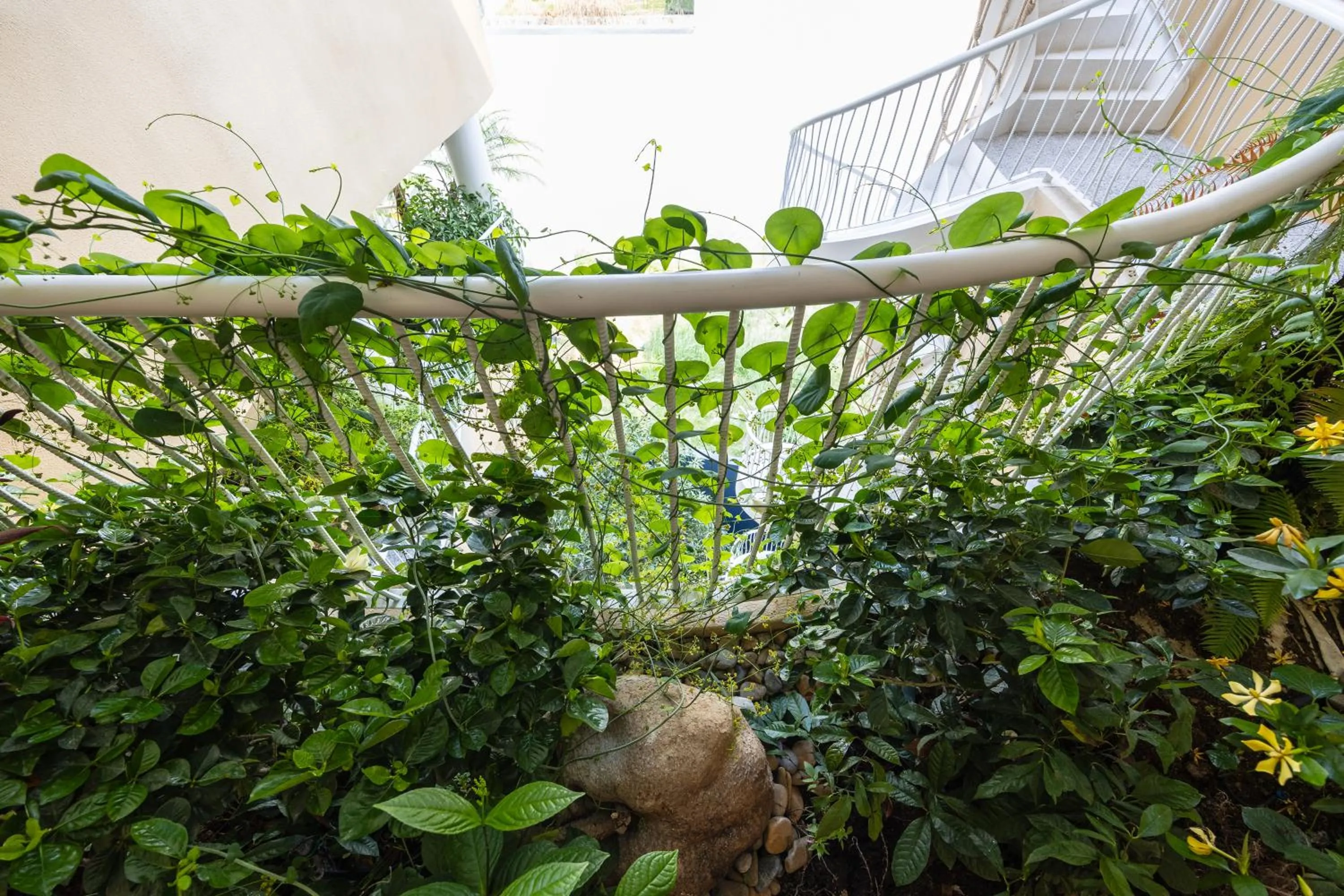 Spring in Saha Casa Boutique Hotel Da Nang