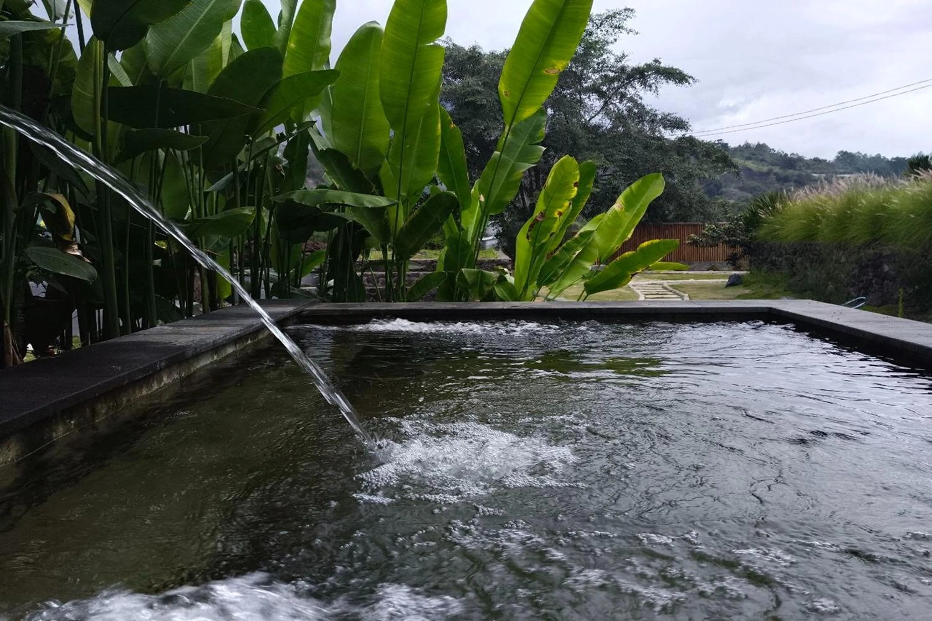 Swimming pool in Onion Garden And Natural Hotspring