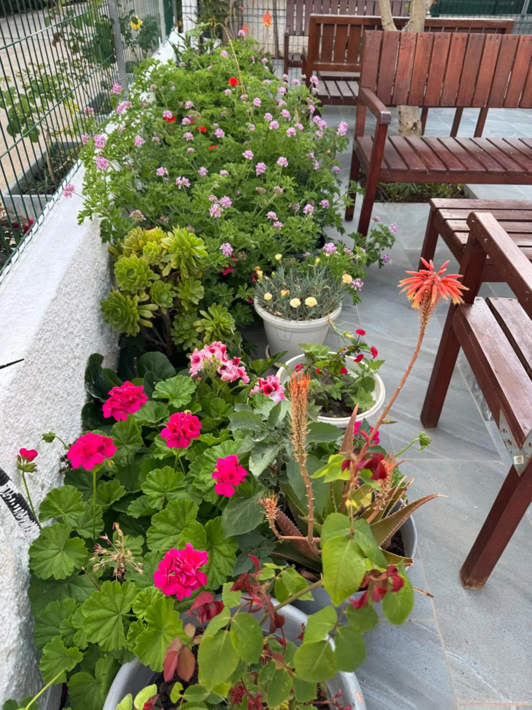 Garden in Central Garden Sofia 1- Free Parking