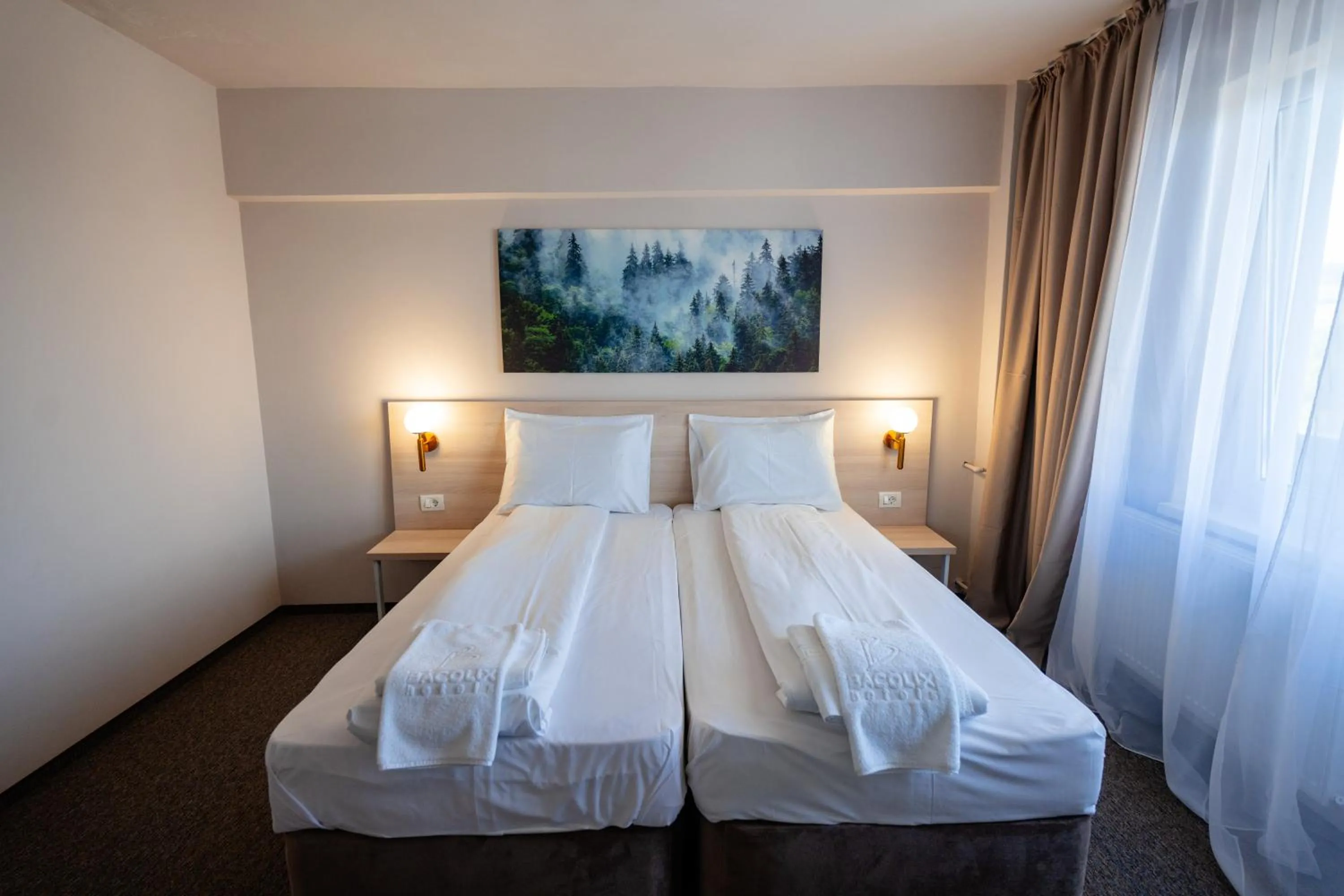 Standard Twin Room in Bacolux Santis, Covasna