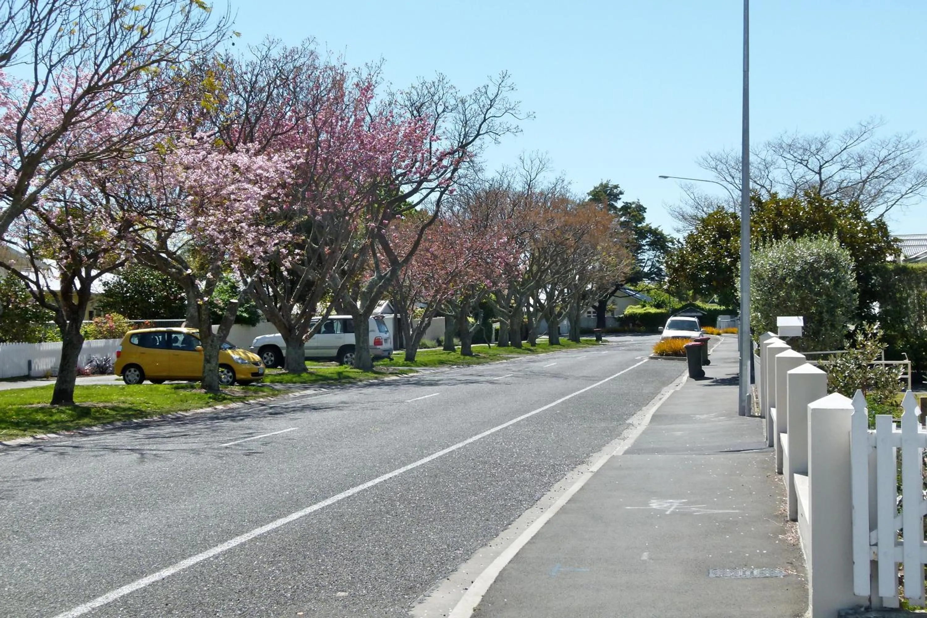Street view in Peppertree Bed & Breakfast