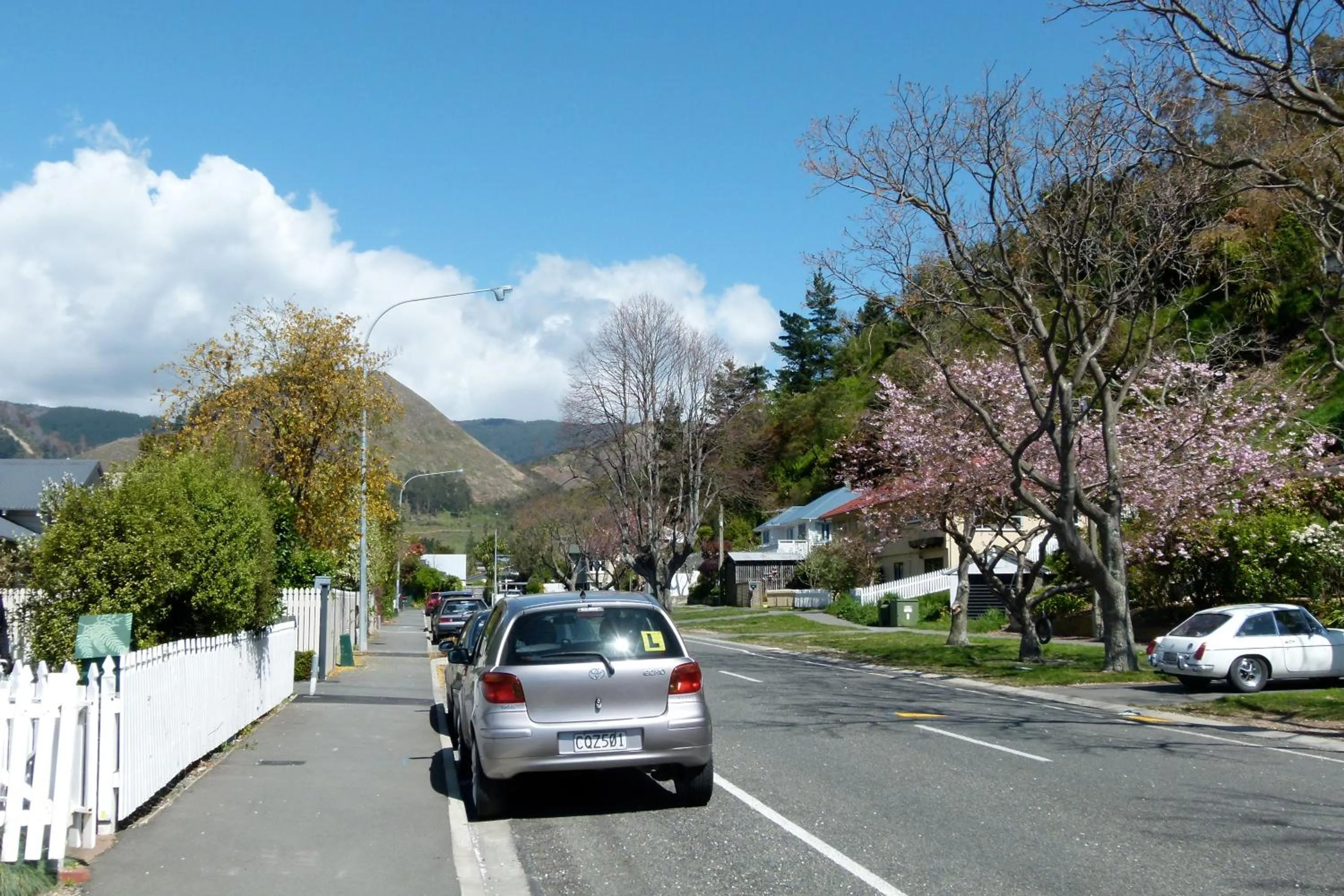 Neighbourhood in Peppertree Bed & Breakfast