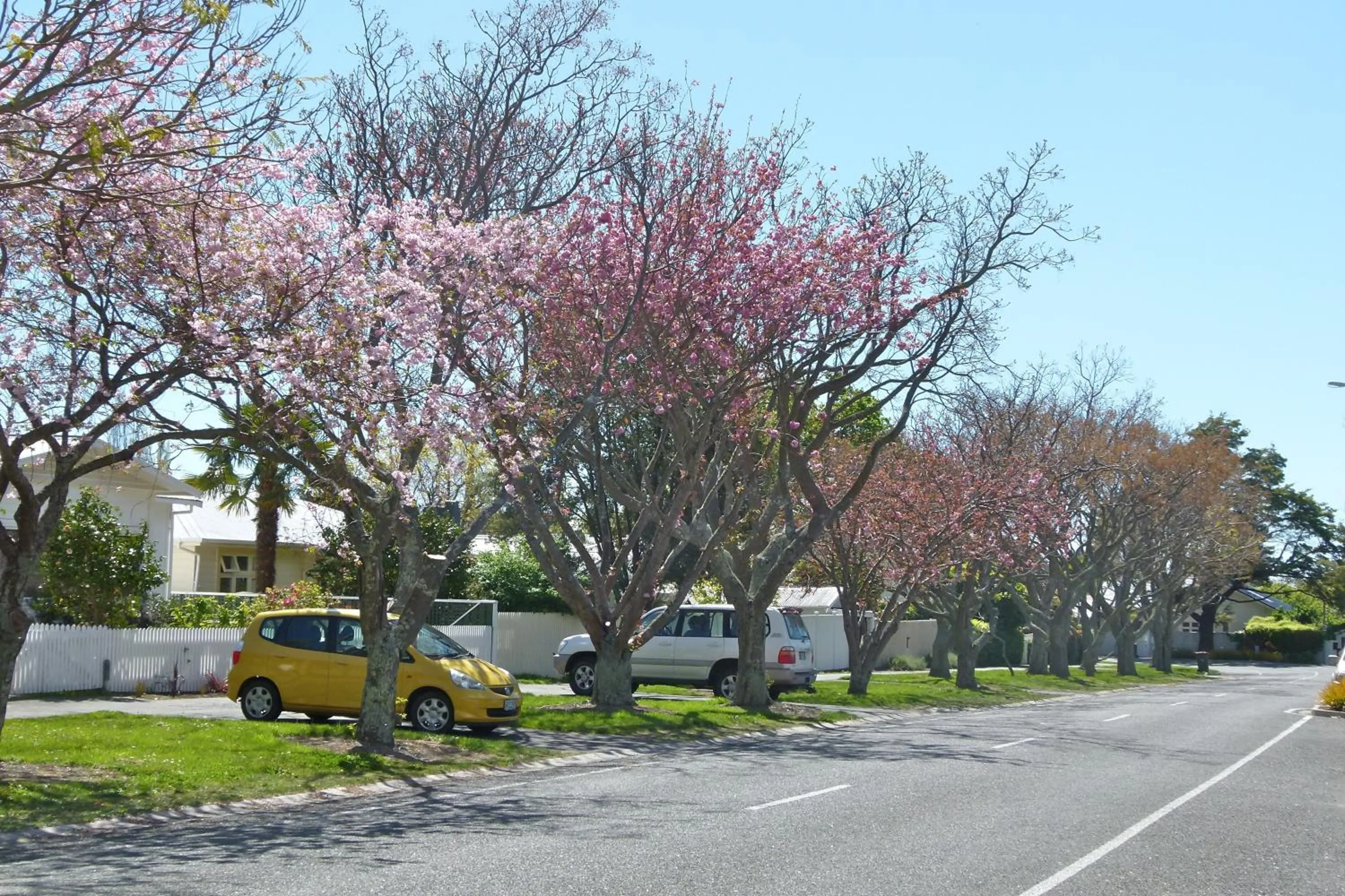 Neighbourhood in Peppertree Bed & Breakfast