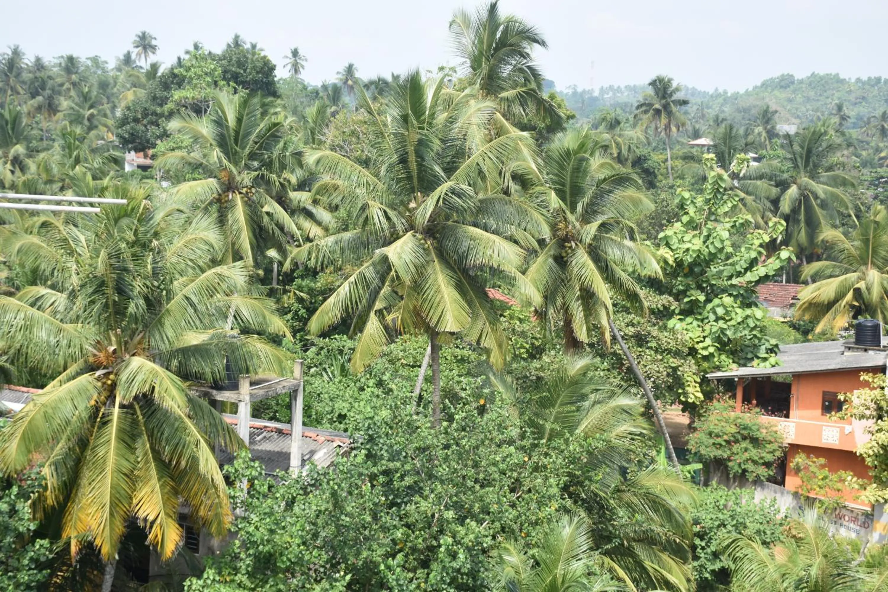 View (from property/room) in Aaradhya Mirissa