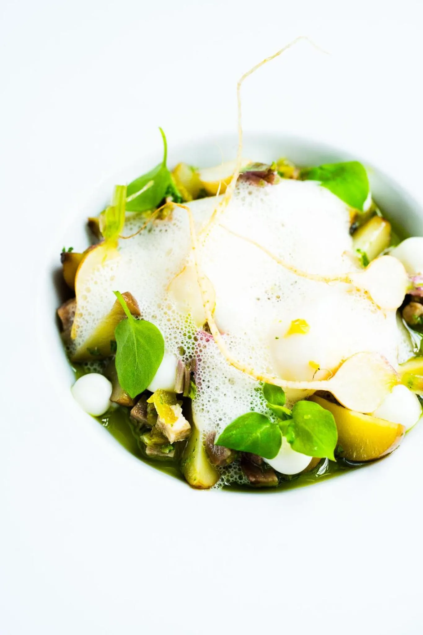 Food and drinks in Hotel Villa Ruimzicht