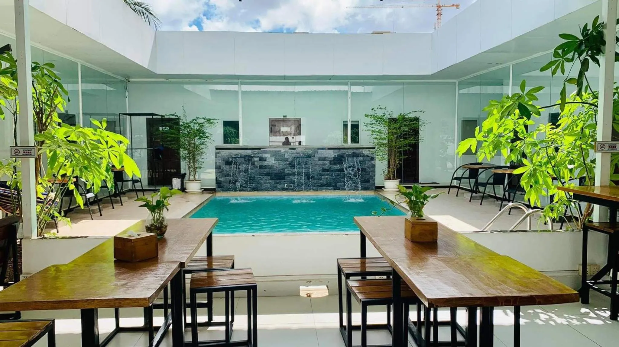 Onederz SHV Golden Lion