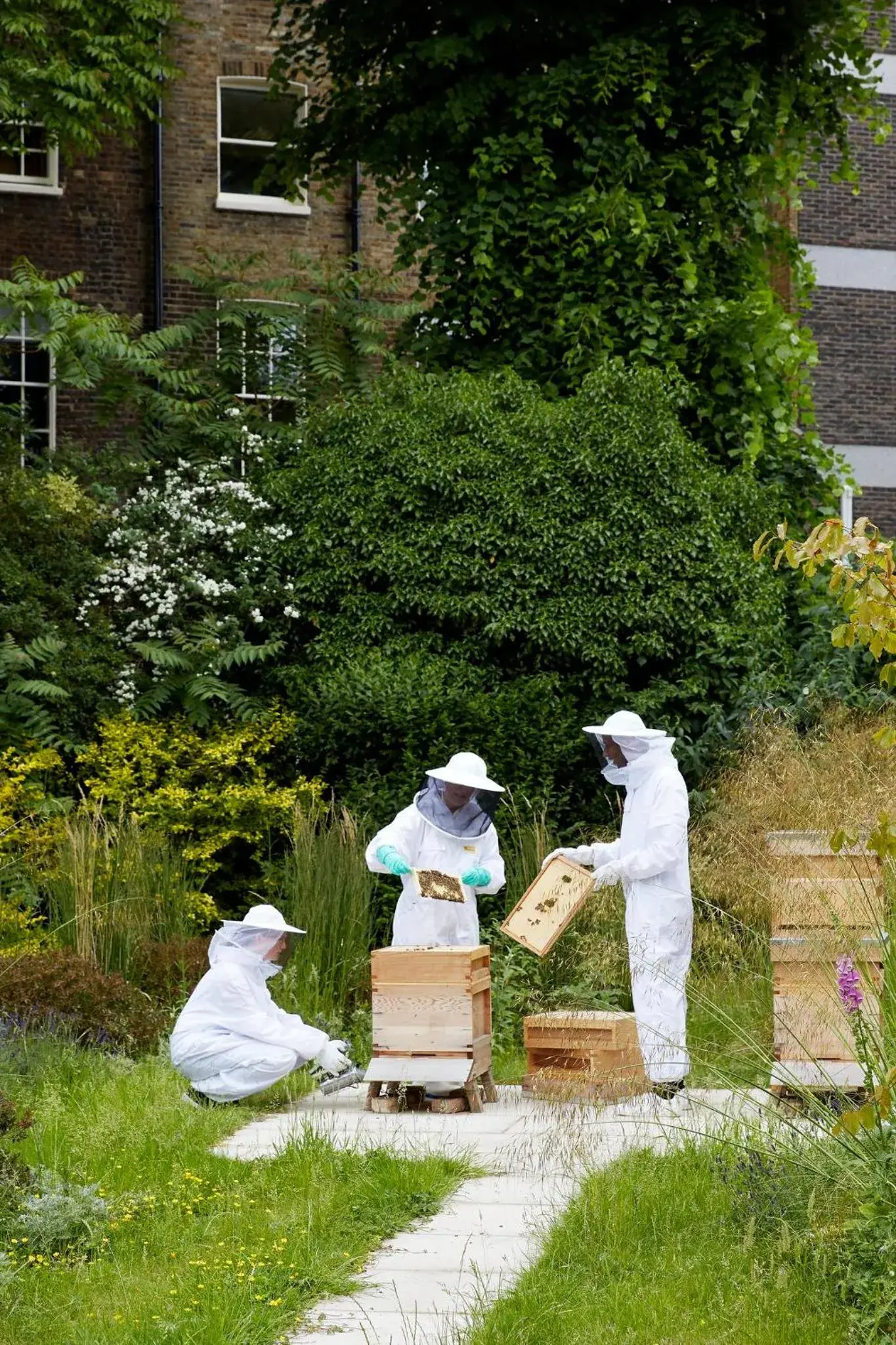 Property building in The Montague On The Gardens Property building in The Montague On The Gardens