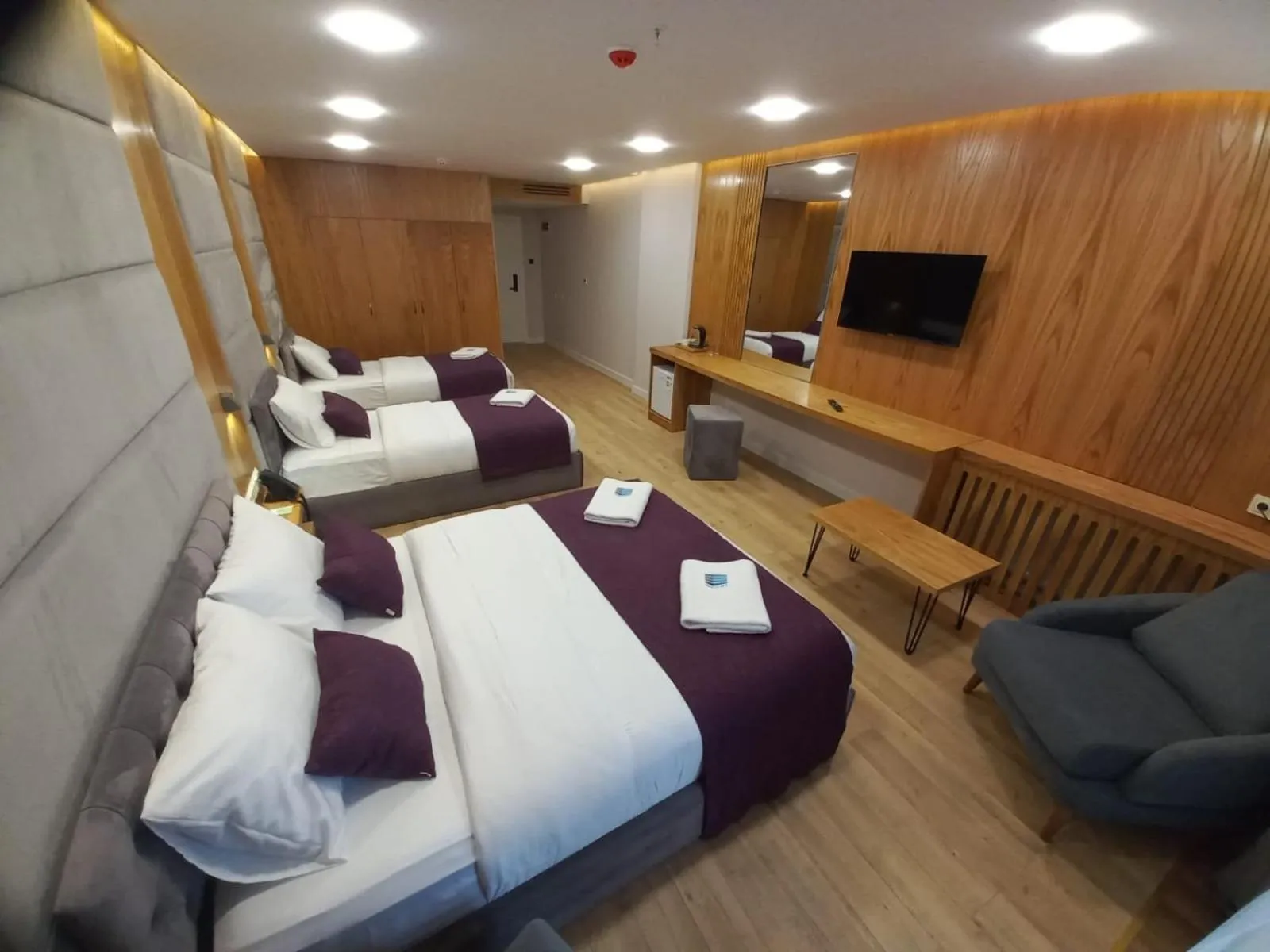 TV and multimedia, Bed in Hotel Black Sea