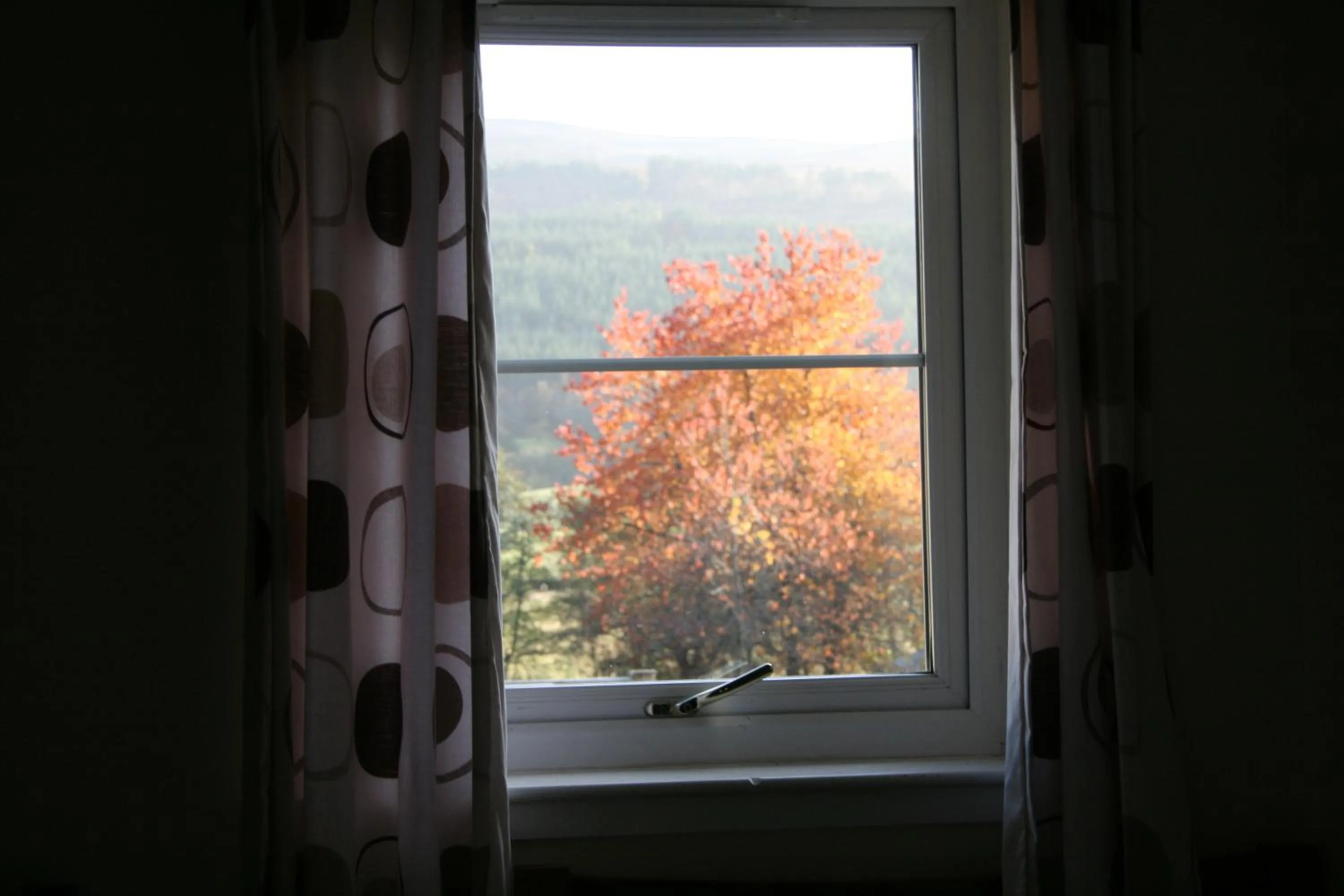 Nearby landmark in BCC Loch Ness Hostel