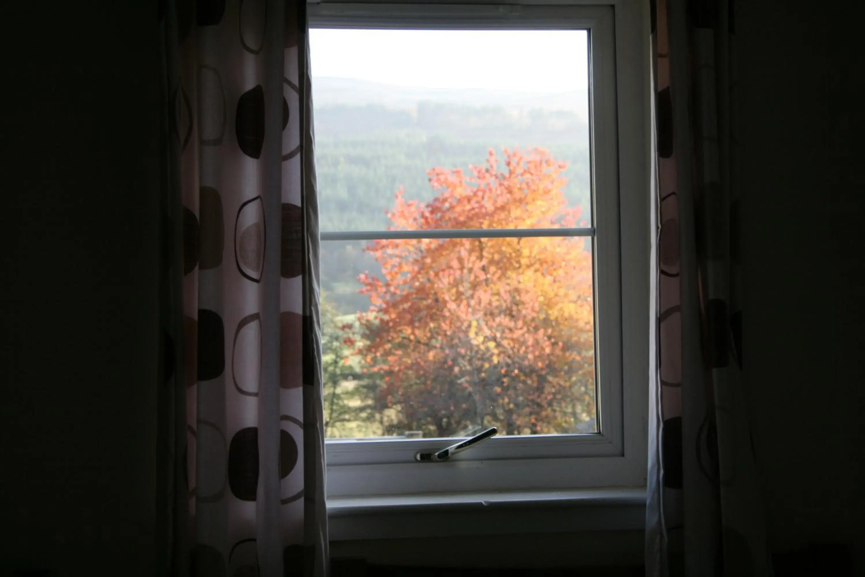 Triple Room with Bathroom in BCC Loch Ness Hostel Triple Room with Bathroom in BCC Loch Ness Hostel