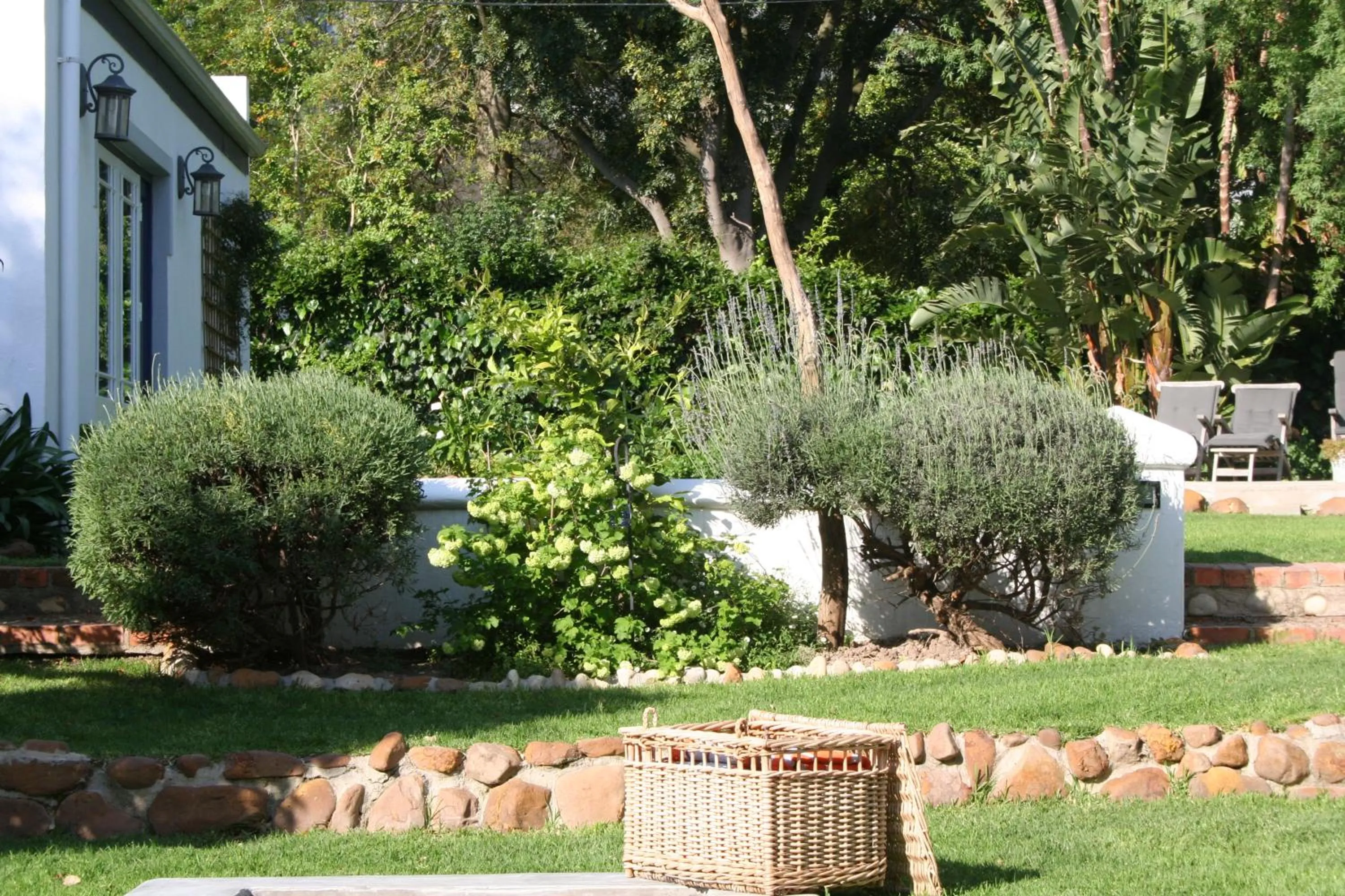 Garden in The Cottage on 55