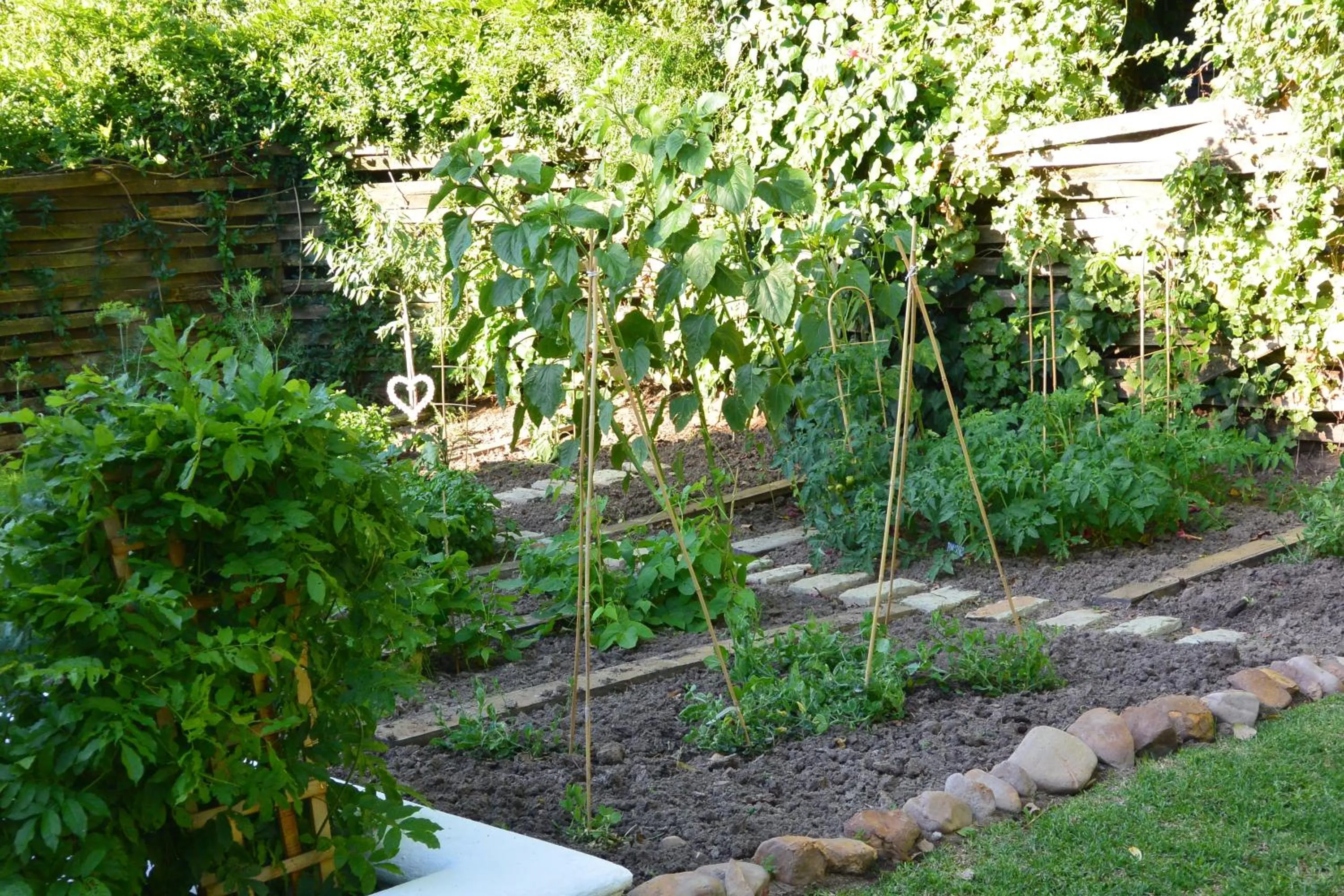 Garden in The Cottage on 55