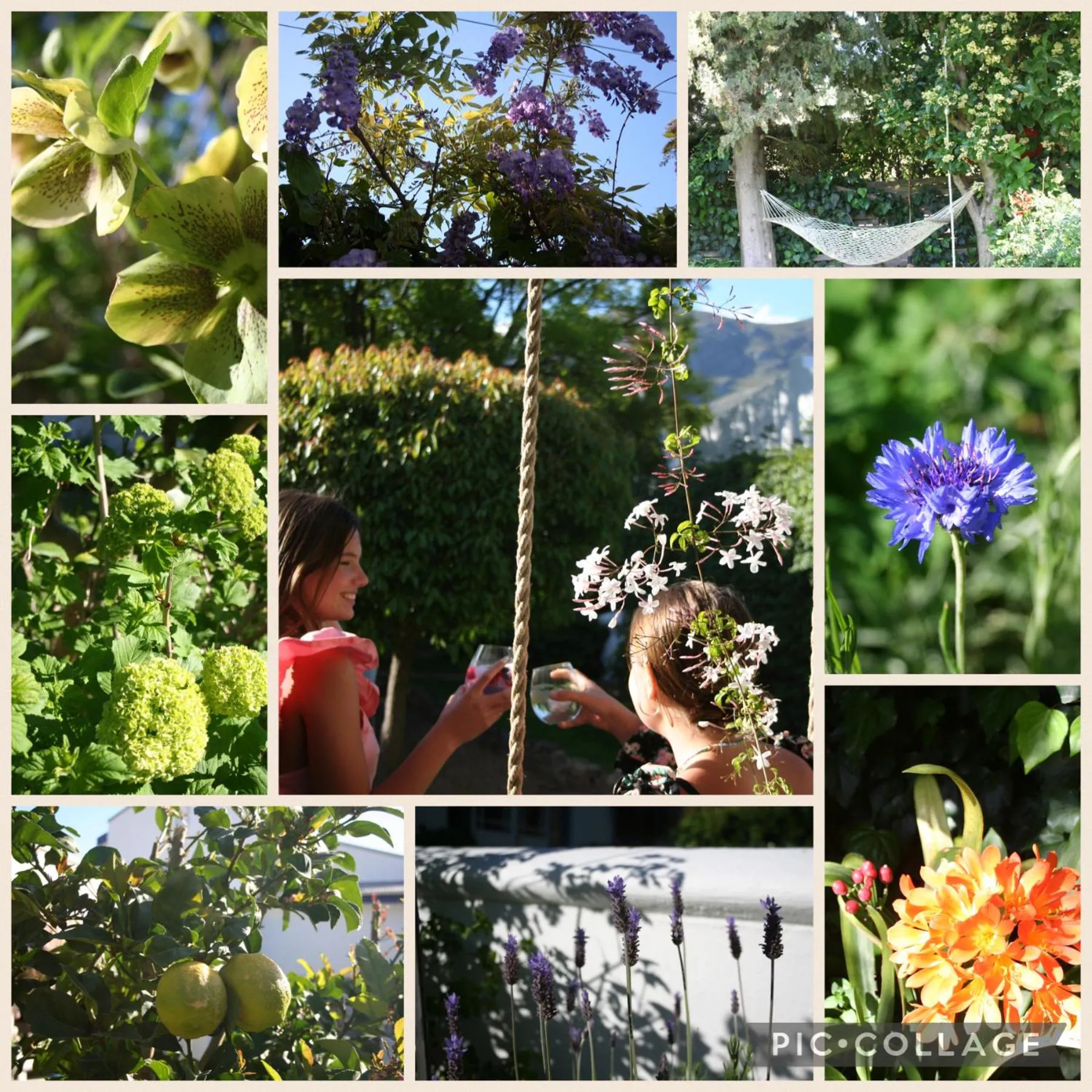 Garden in The Cottage on 55