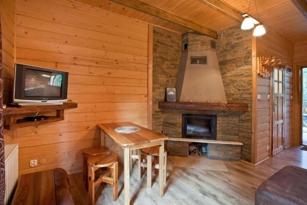 Apartamenty z kominkiem w Krynicy