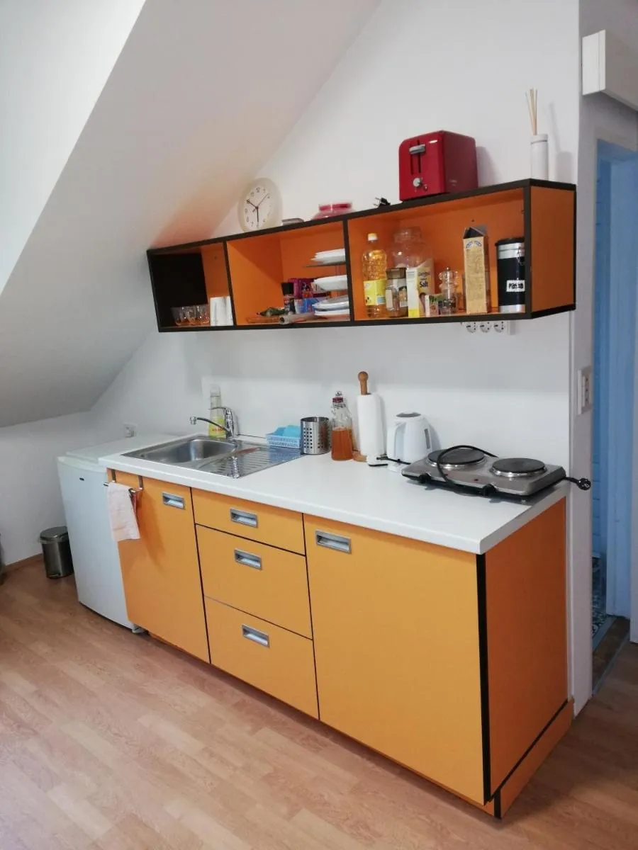 The Villa, Ljubljana city center