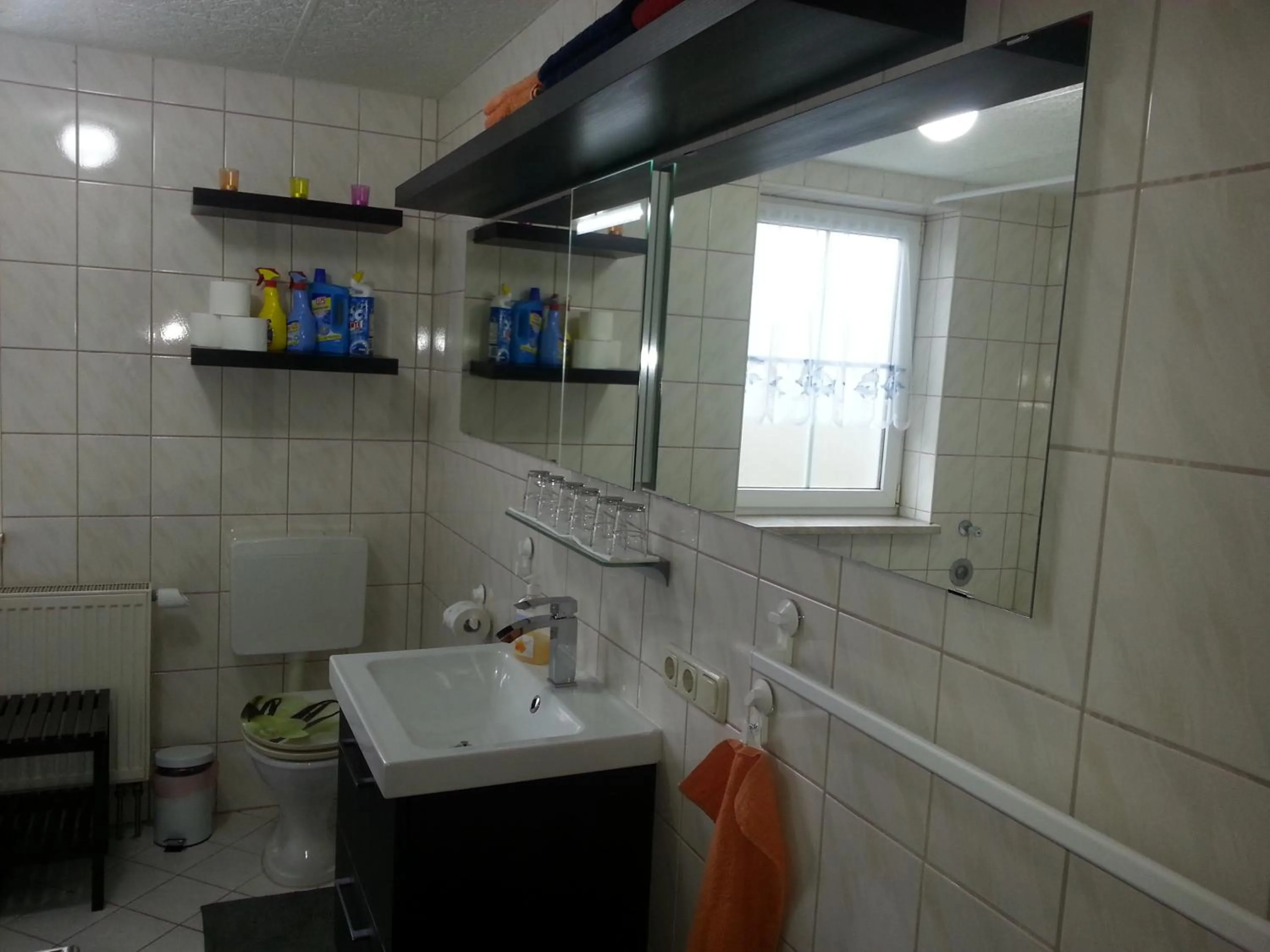 Shower in Apartment Marx