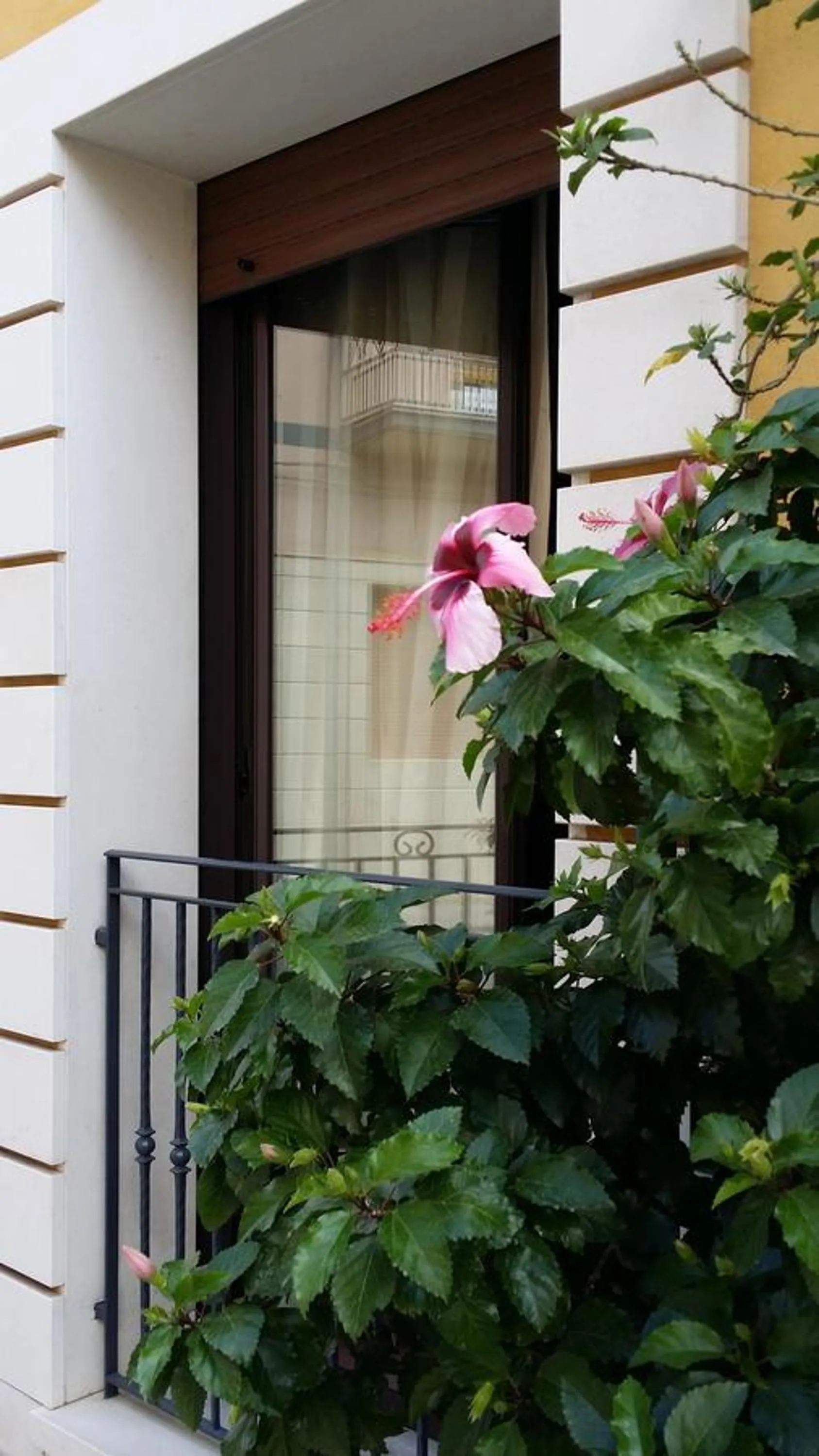 Facade/entrance in Terra del Sole Vittoria
