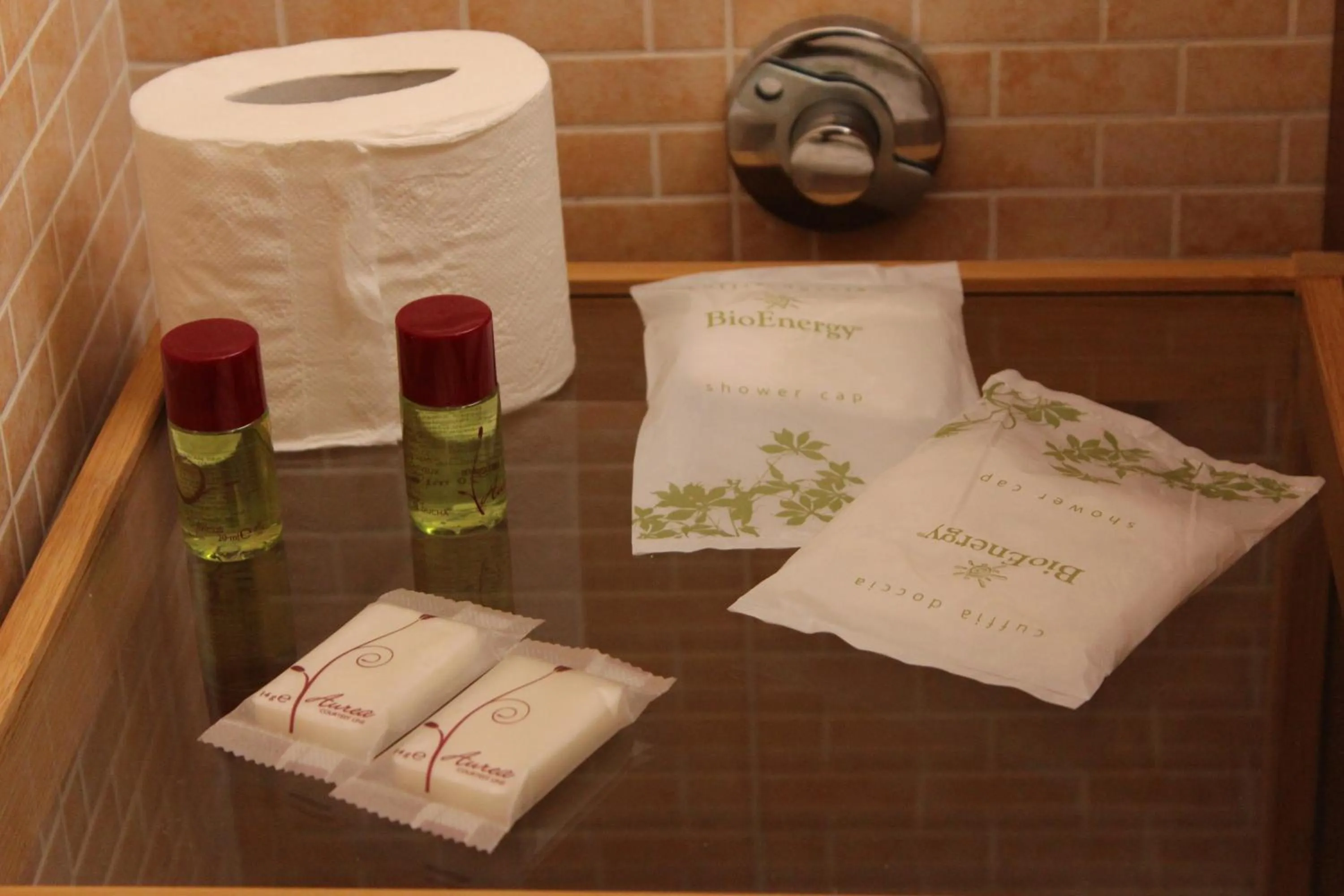 Bathroom in Terra del Sole Vittoria