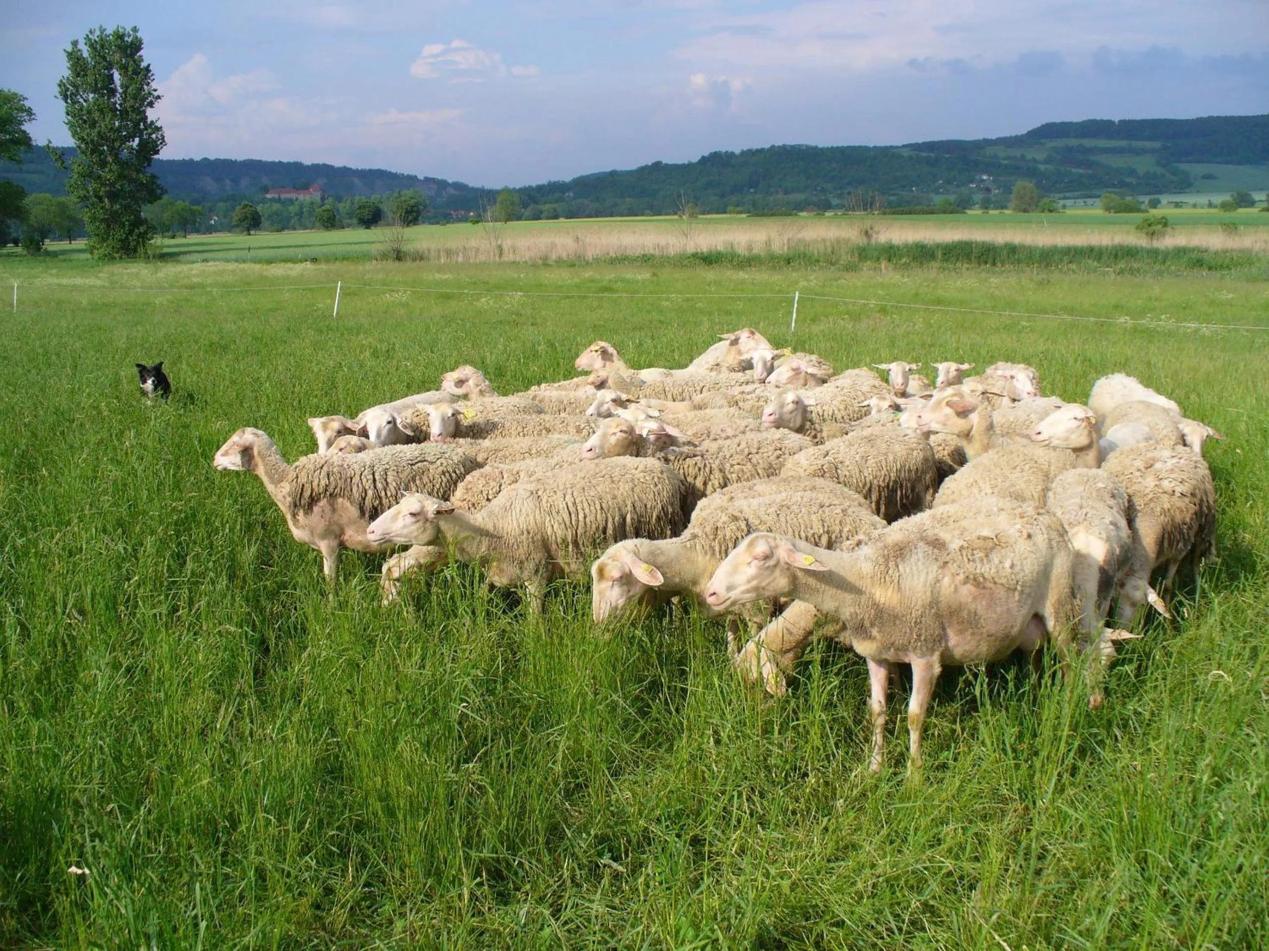 Facade/entrance in Biohotel Stiftsgut Wilhelmsglücksbrunn