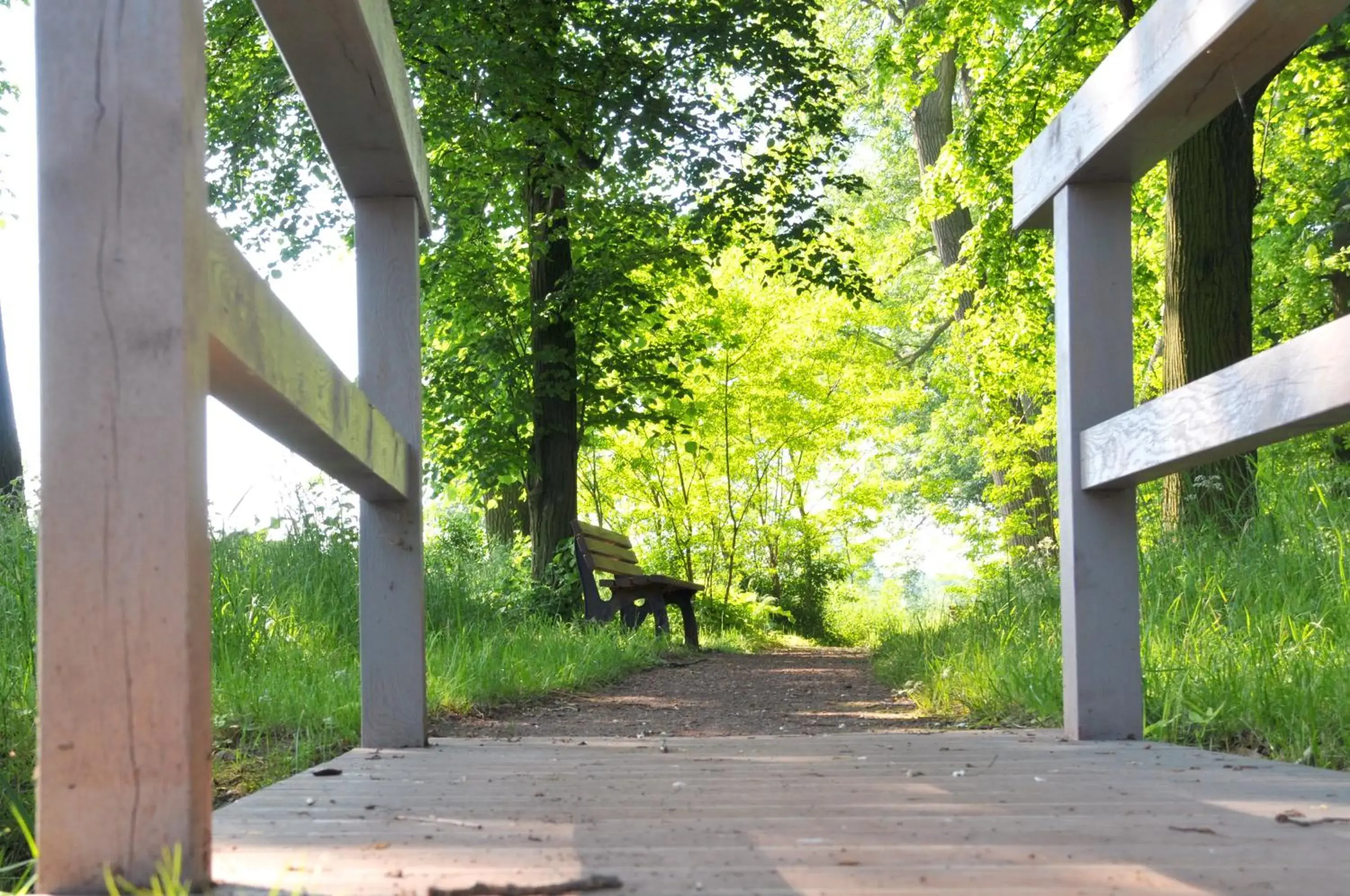 Budget Double Room - single occupancy in Biohotel Stiftsgut Wilhelmsglücksbrunn Budget Double Room - single occupancy in Biohotel Stiftsgut Wilhelmsglücksbrunn