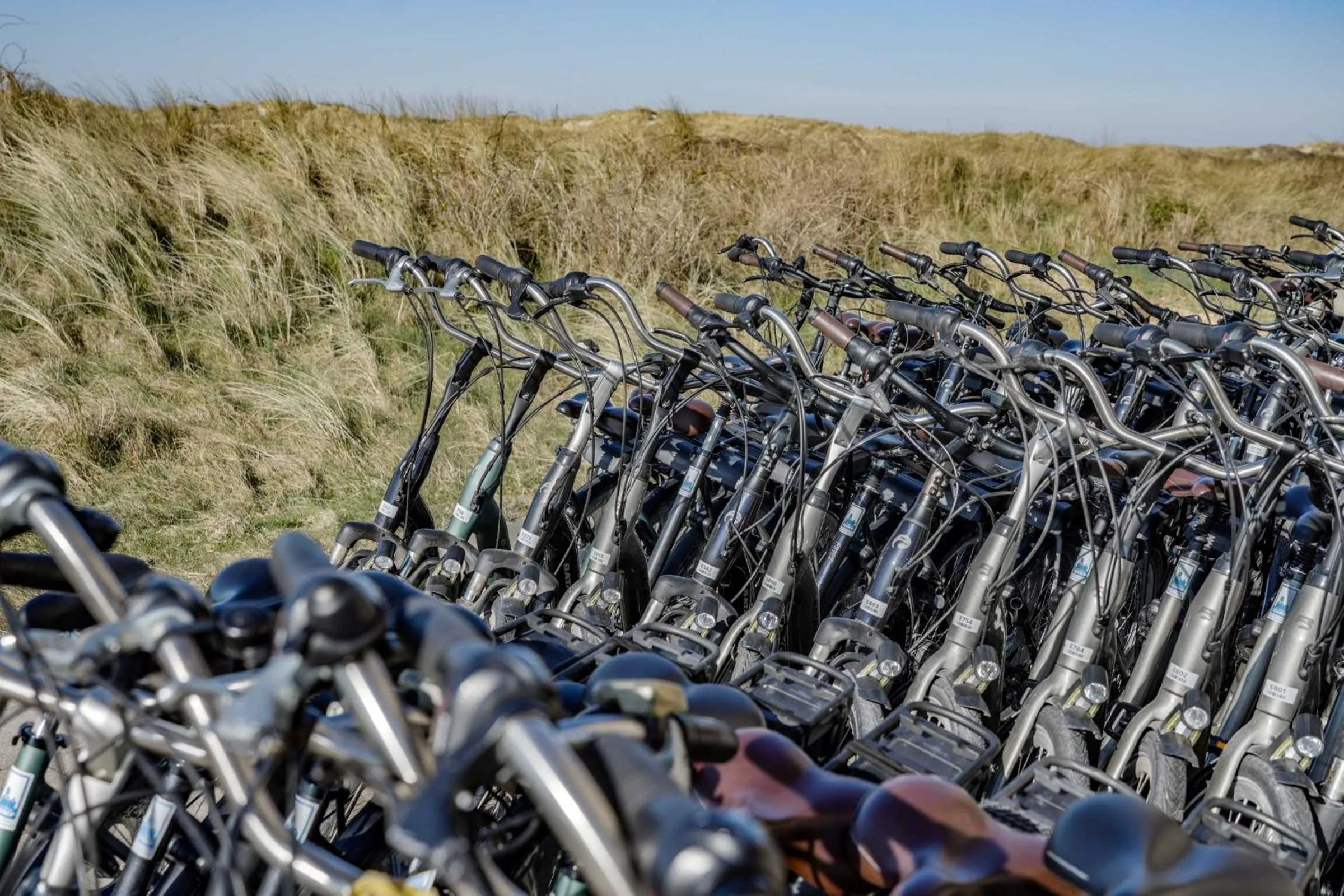 Cycling in Paal 8 Hotel aan Zee