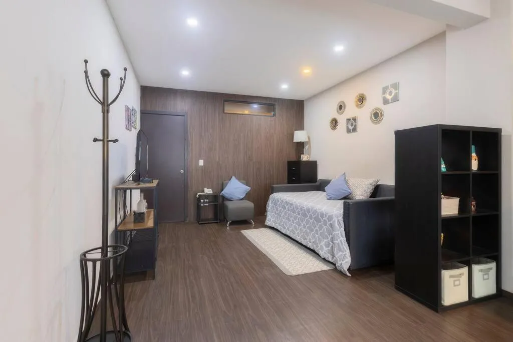 Living room, Bed in 301 Historic building 1Bdrm 1bath AC Rooftop