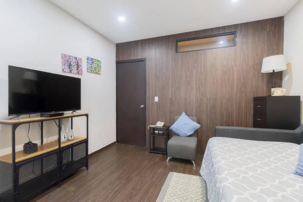 Living room, Bed in 301 Historic building 1Bdrm 1bath AC Rooftop