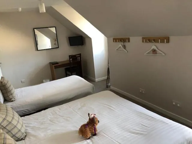 Bed in Loch Ness Guest House