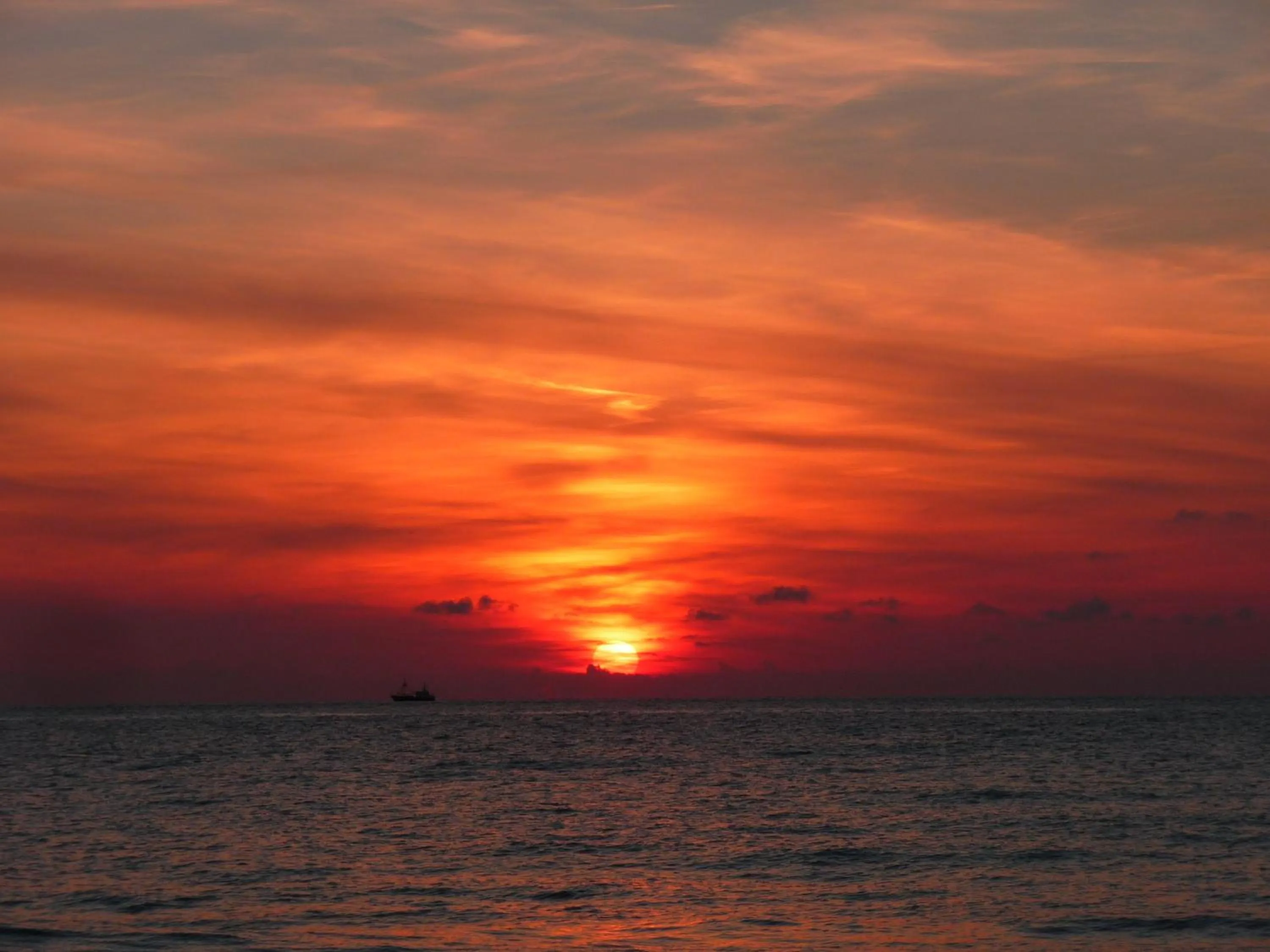 View (from property/room) in Strandhotel Noordzee
