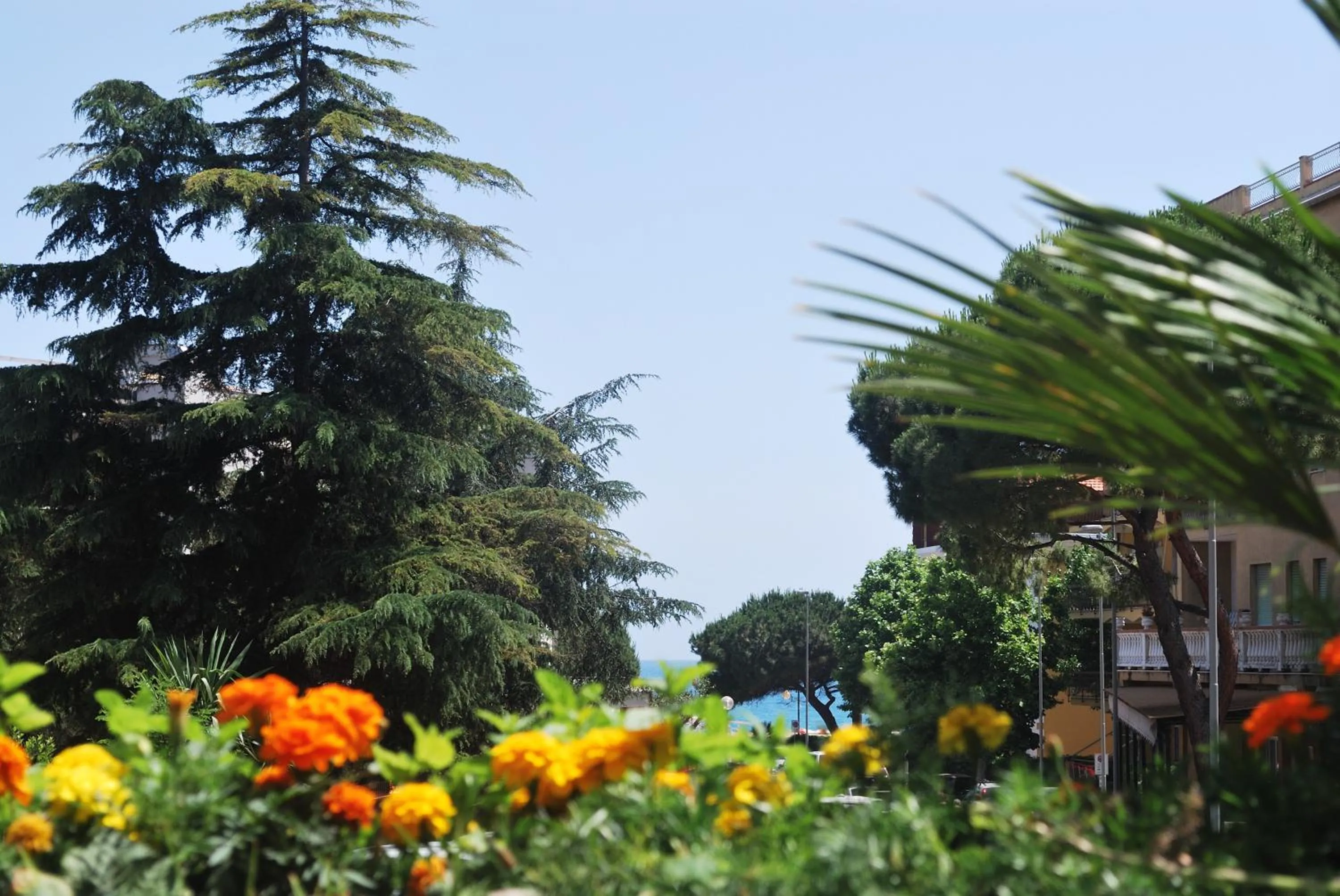 Sea view in Hotel Galleano
