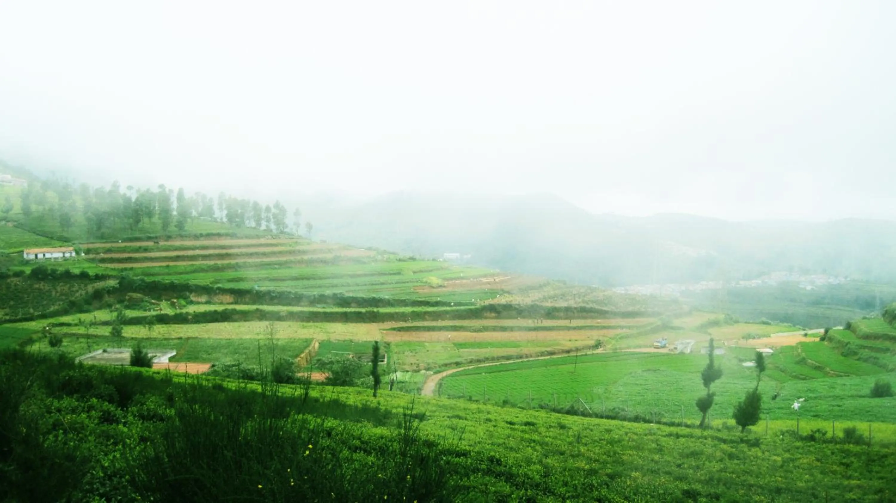 Location in Hotel Sri Balaji