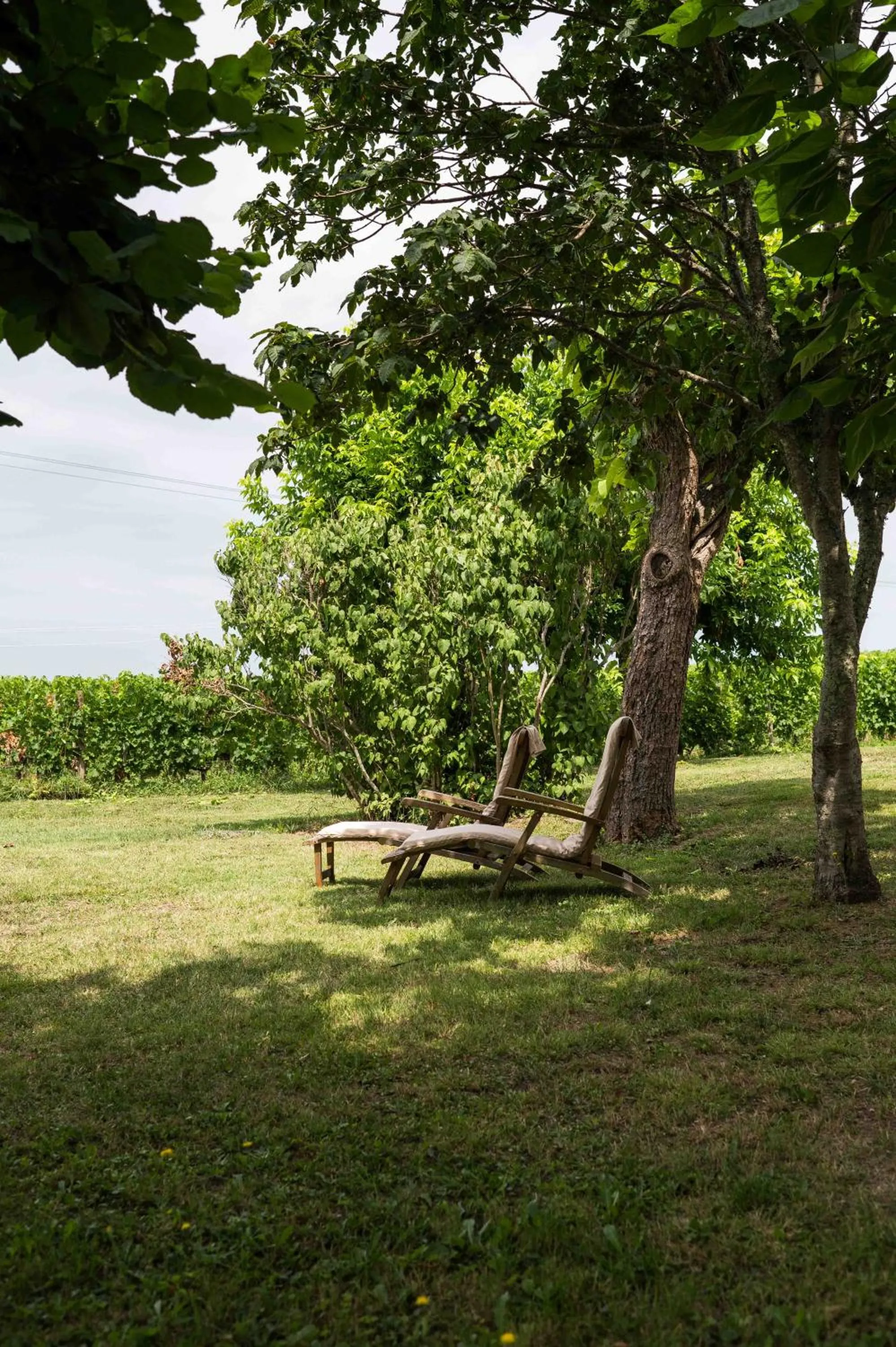Clos de la Barbanne