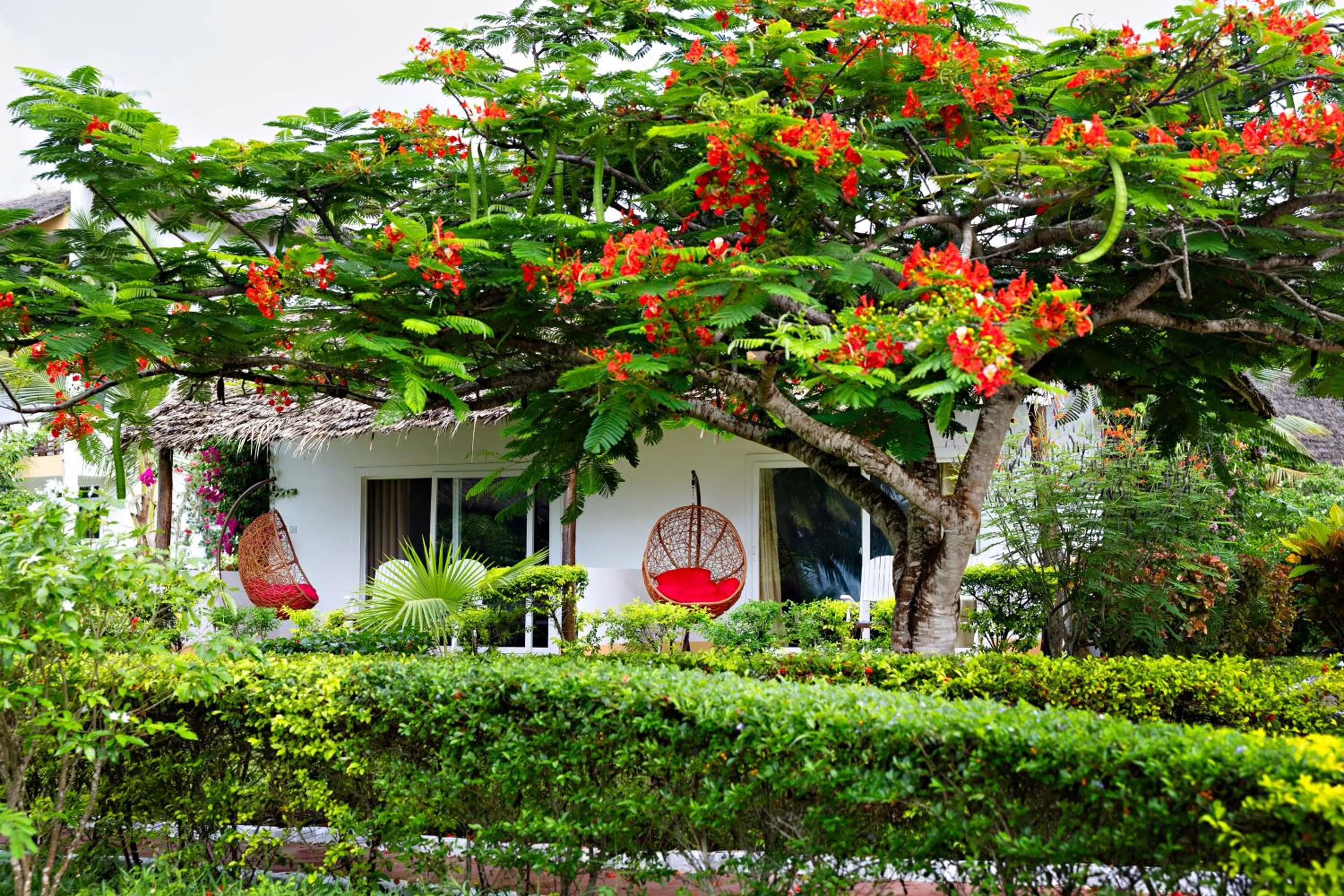 Garden view in Tanzanite Beach Resort