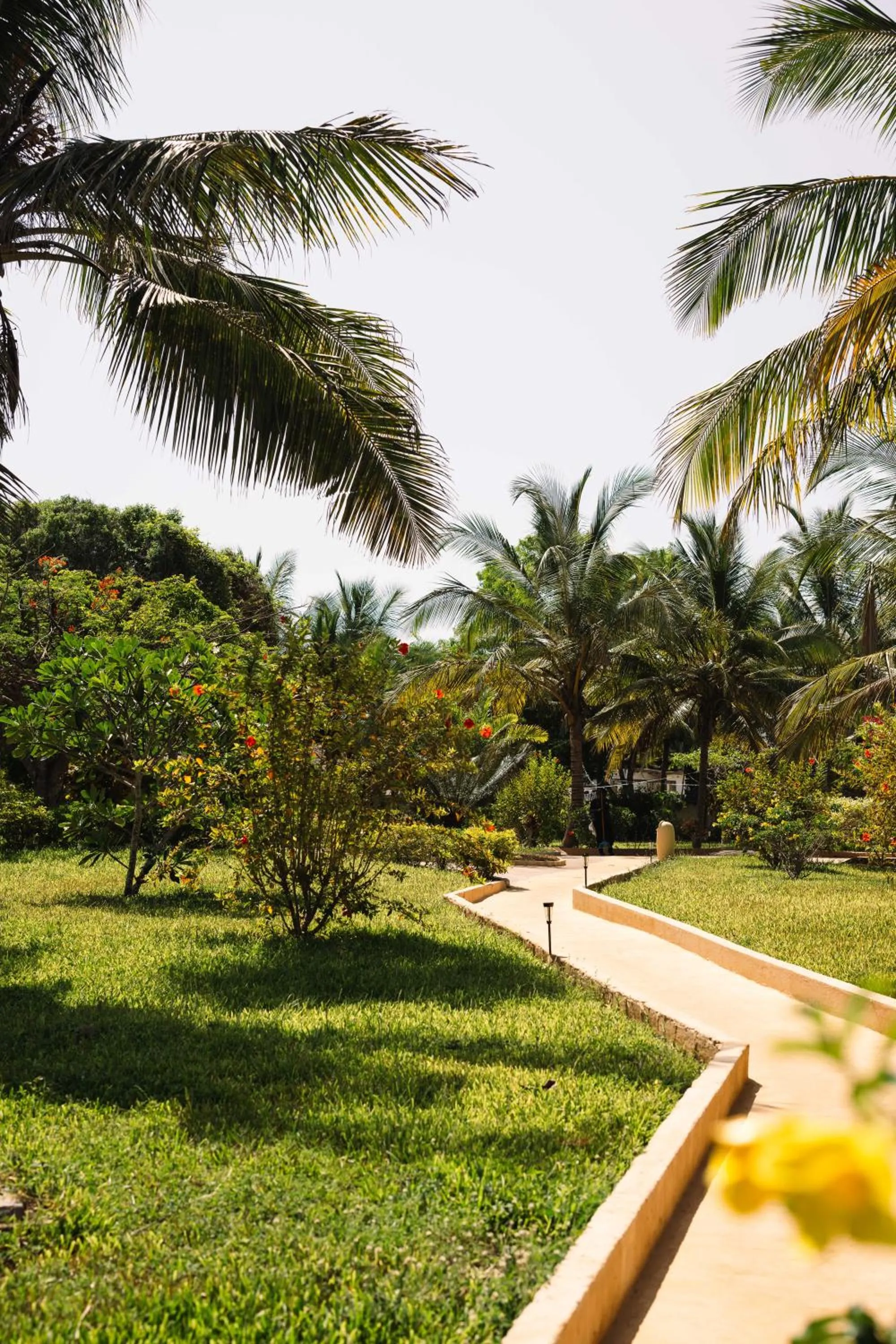 Garden in Tanzanite Beach Resort
