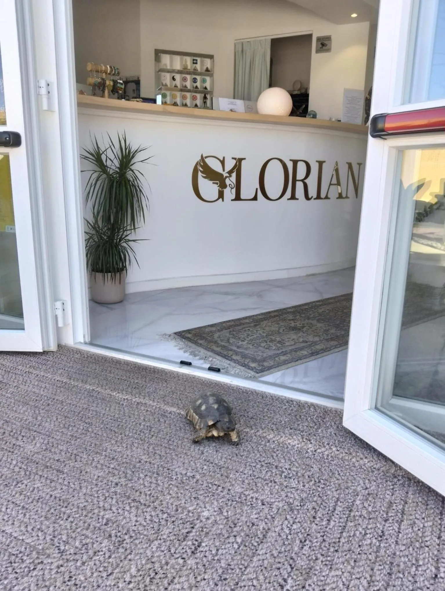 Lobby or reception in Glorian Hotel