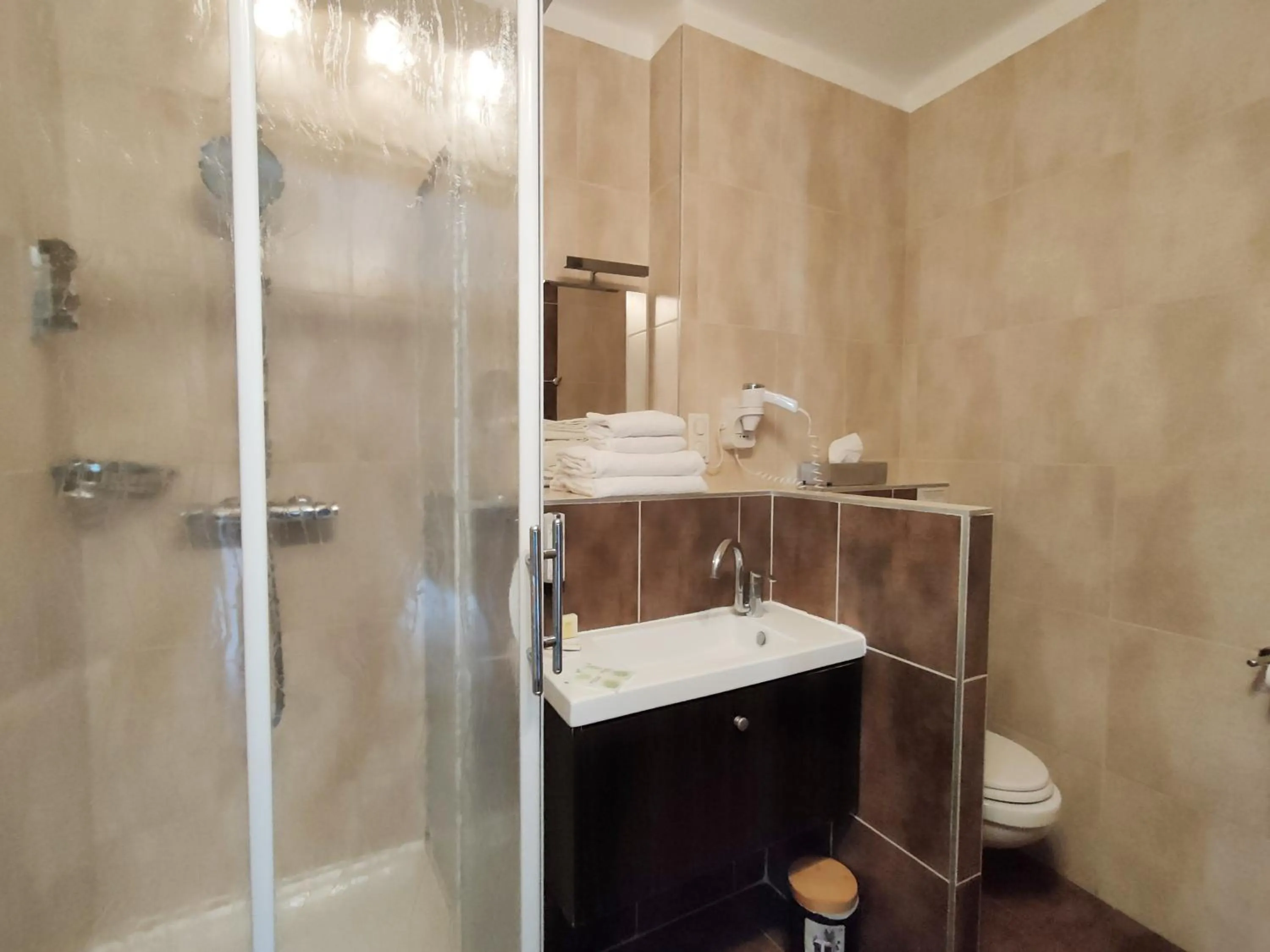 Toilet in Hôtel Restaurant L'Art des Mets by Côté Jardin