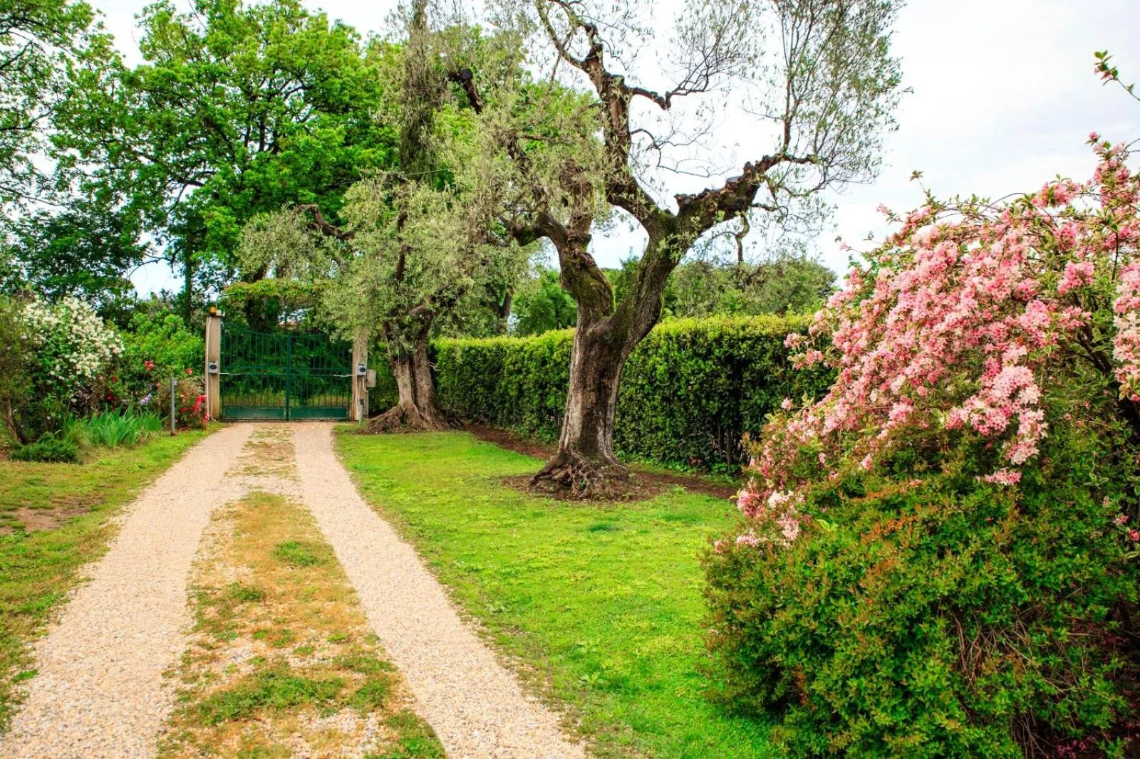 Garden view in I Glicini Appartamento