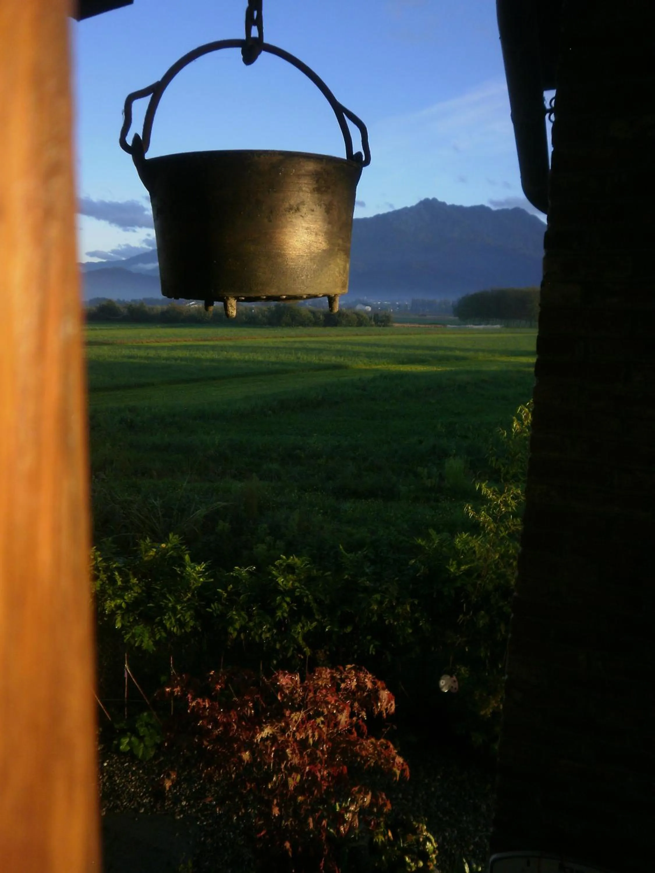 Garden in Bed and breakfast Al Rudun